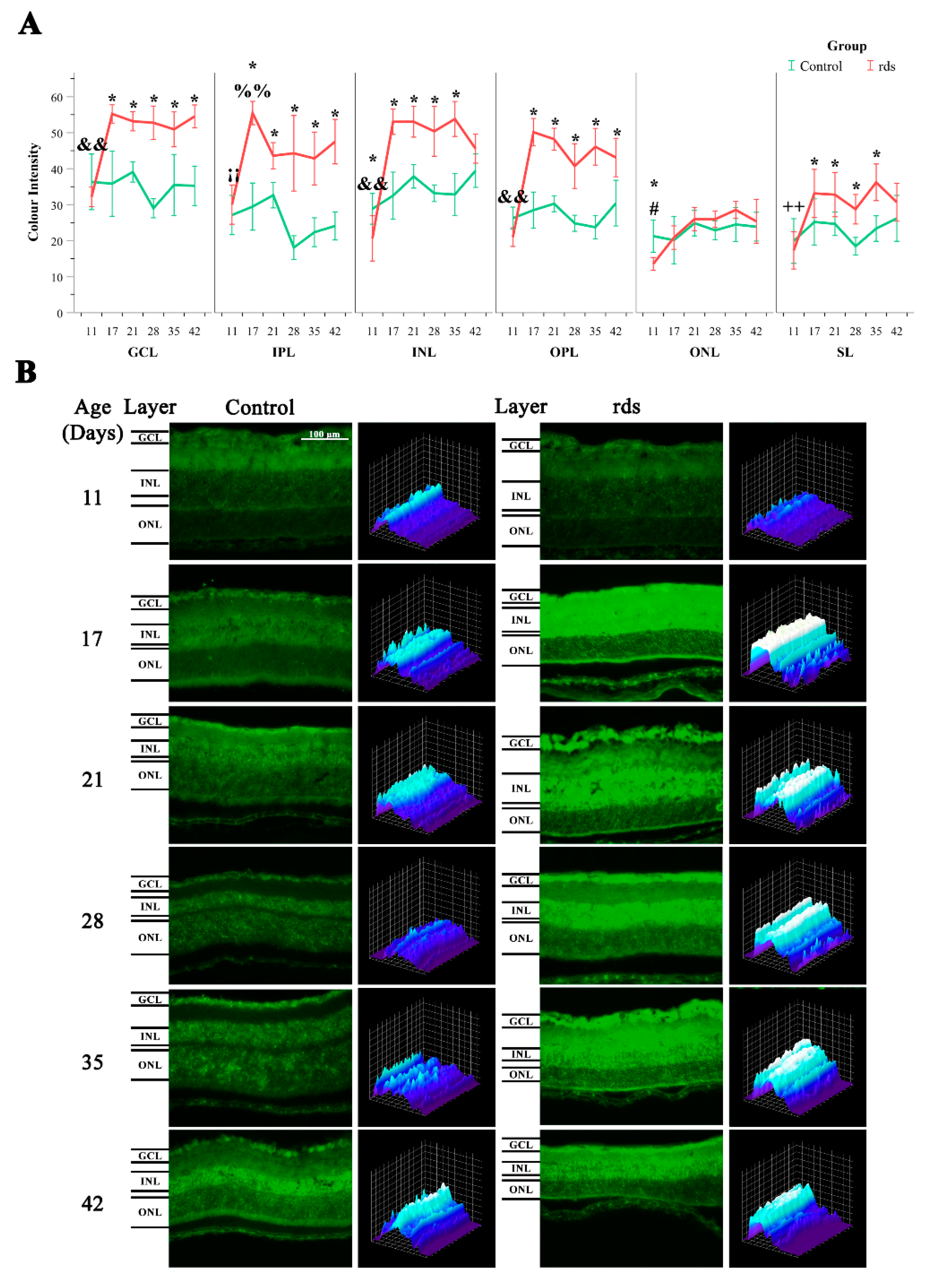 Antioxidants 11 01950 g004