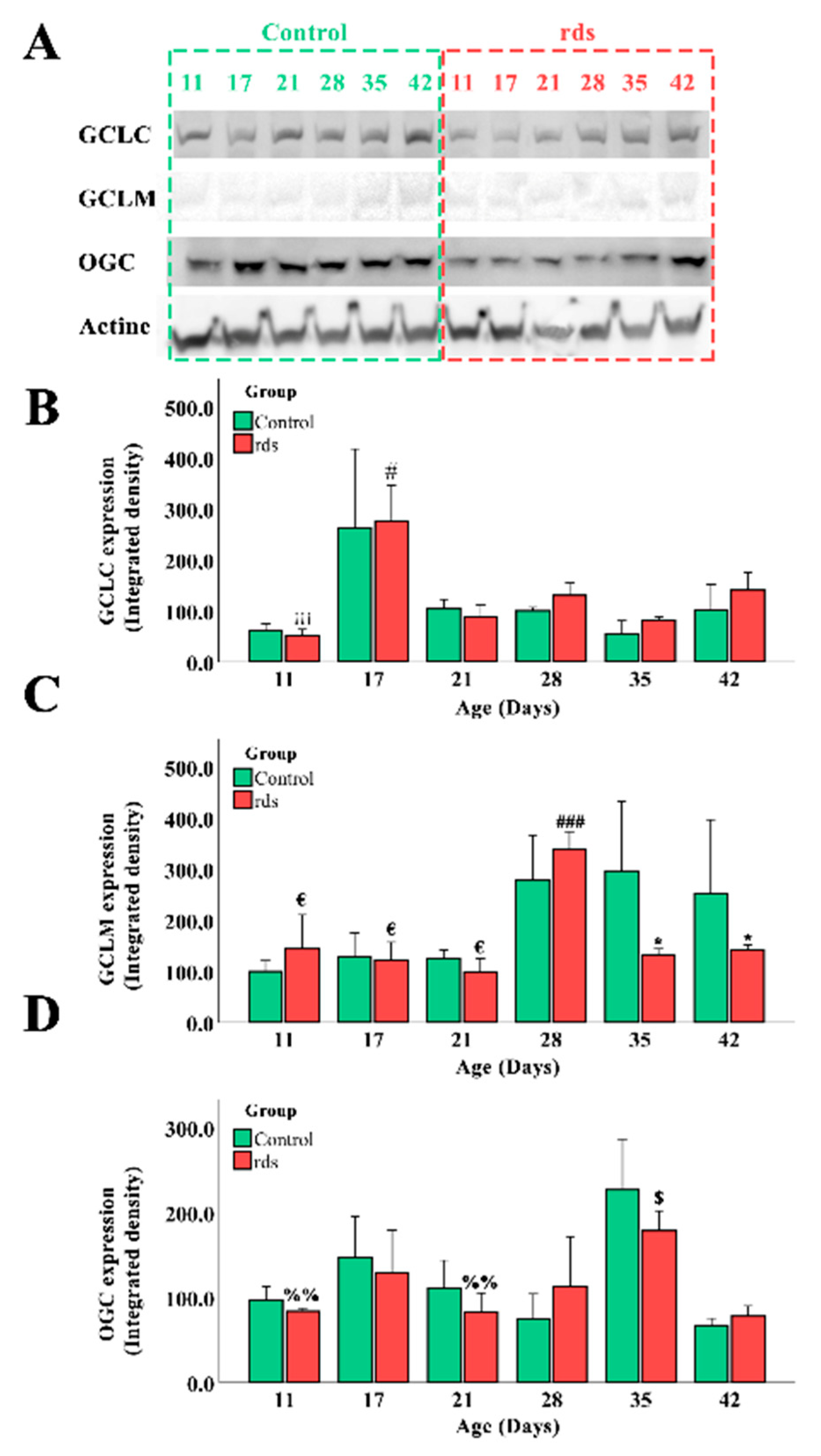 Antioxidants 11 01950 g007