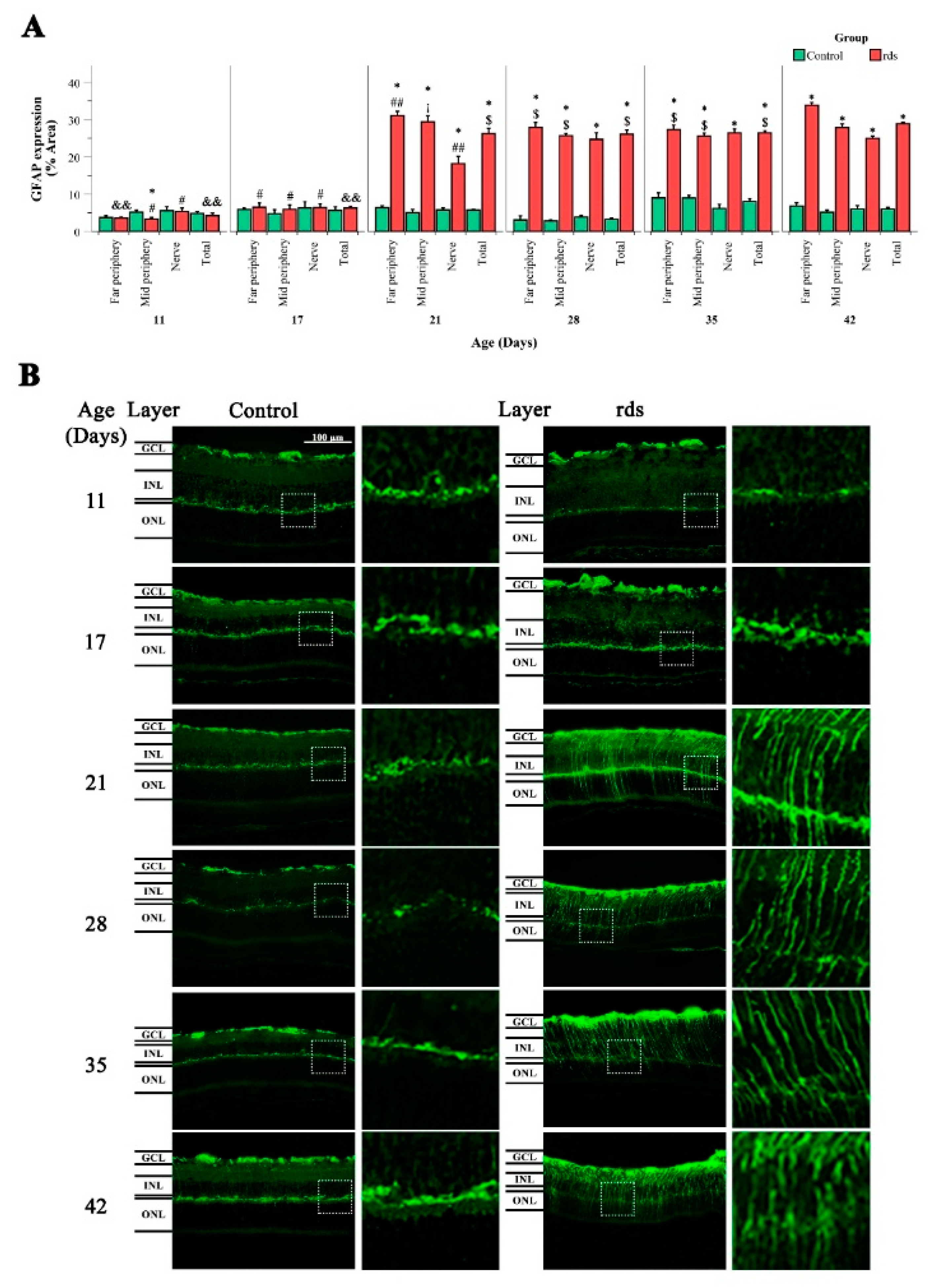 Antioxidants 11 01950 g008