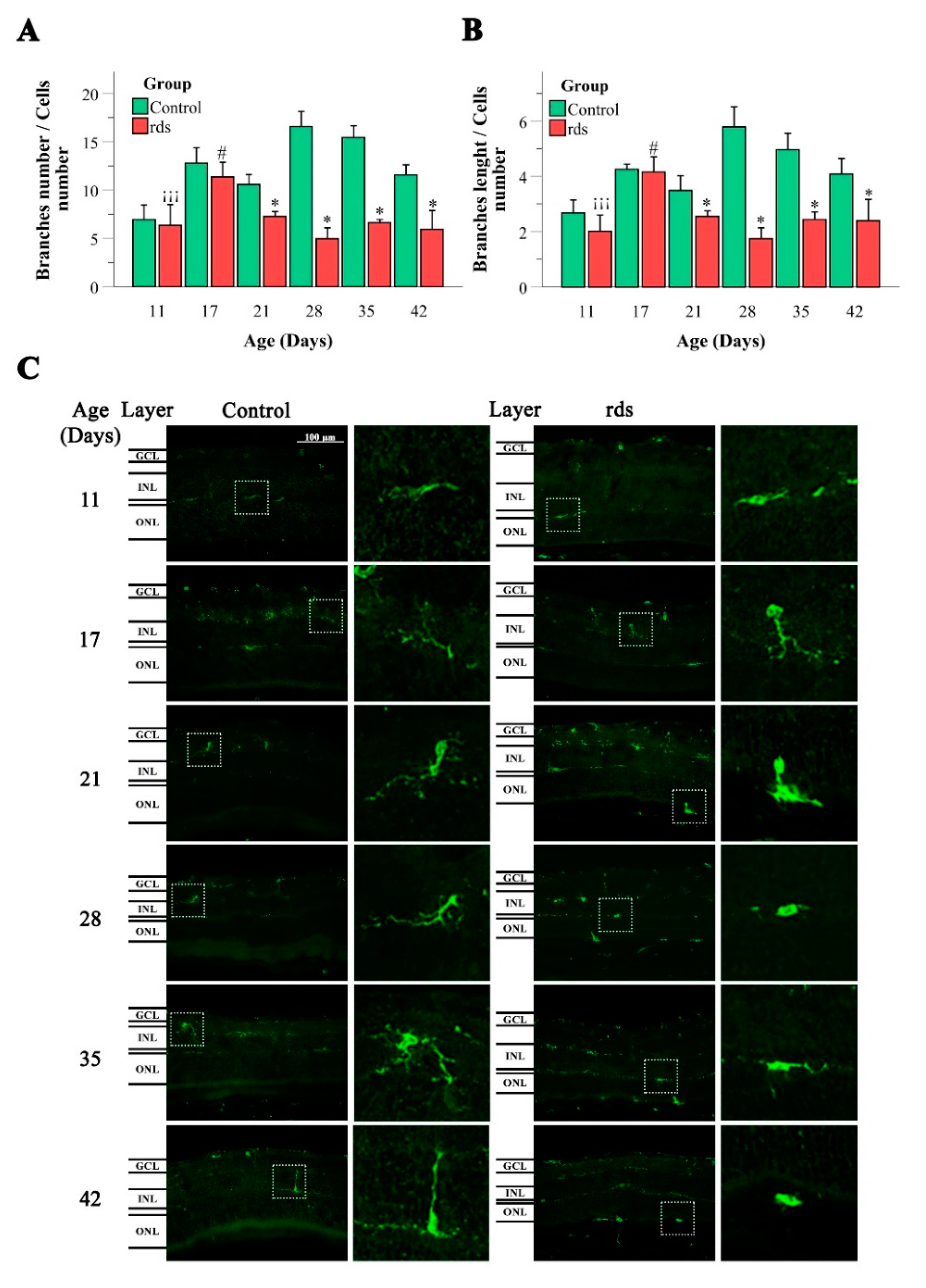 Antioxidants 11 01950 g010