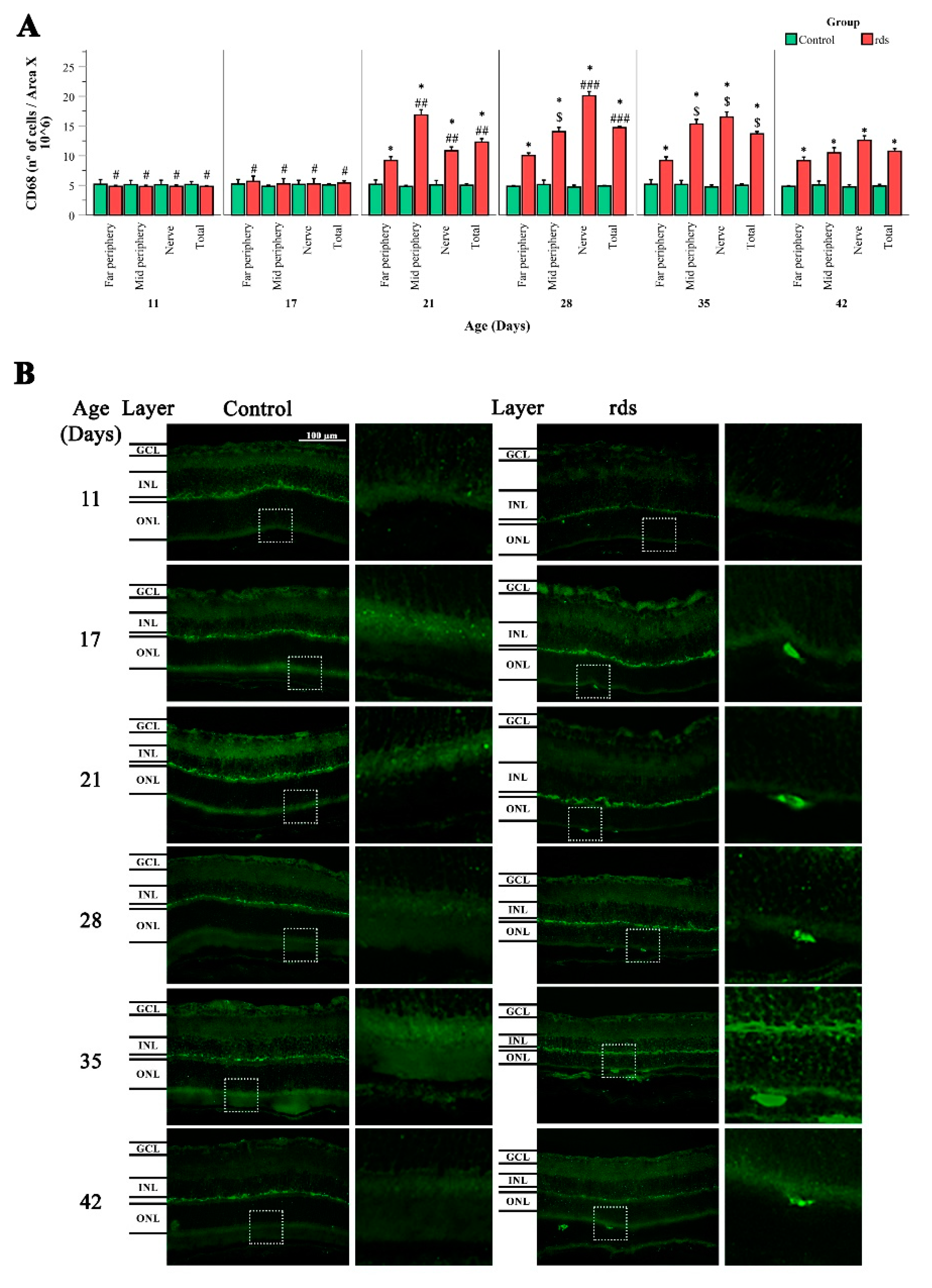 Antioxidants 11 01950 g011