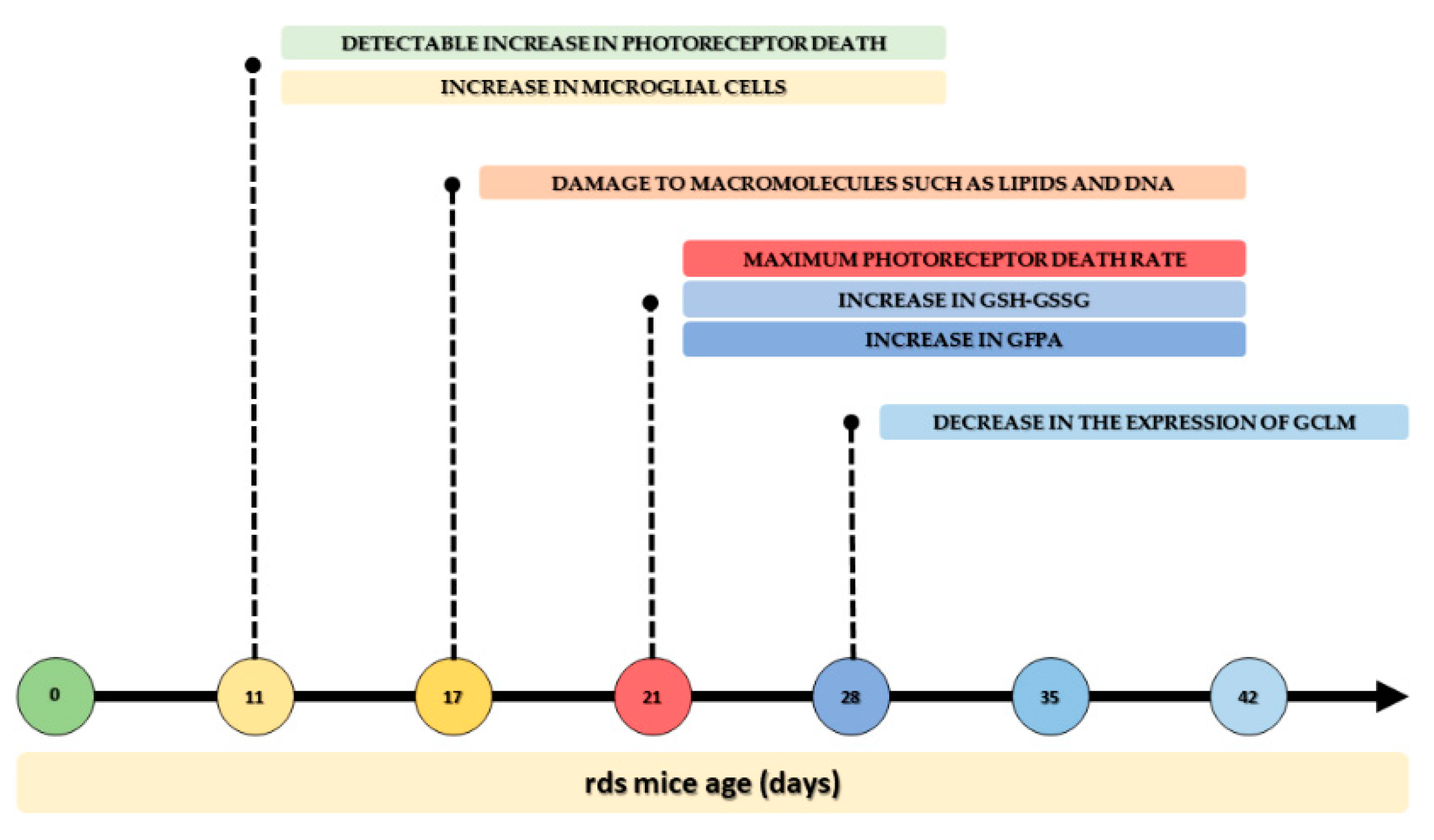 Antioxidants 11 01950 g012
