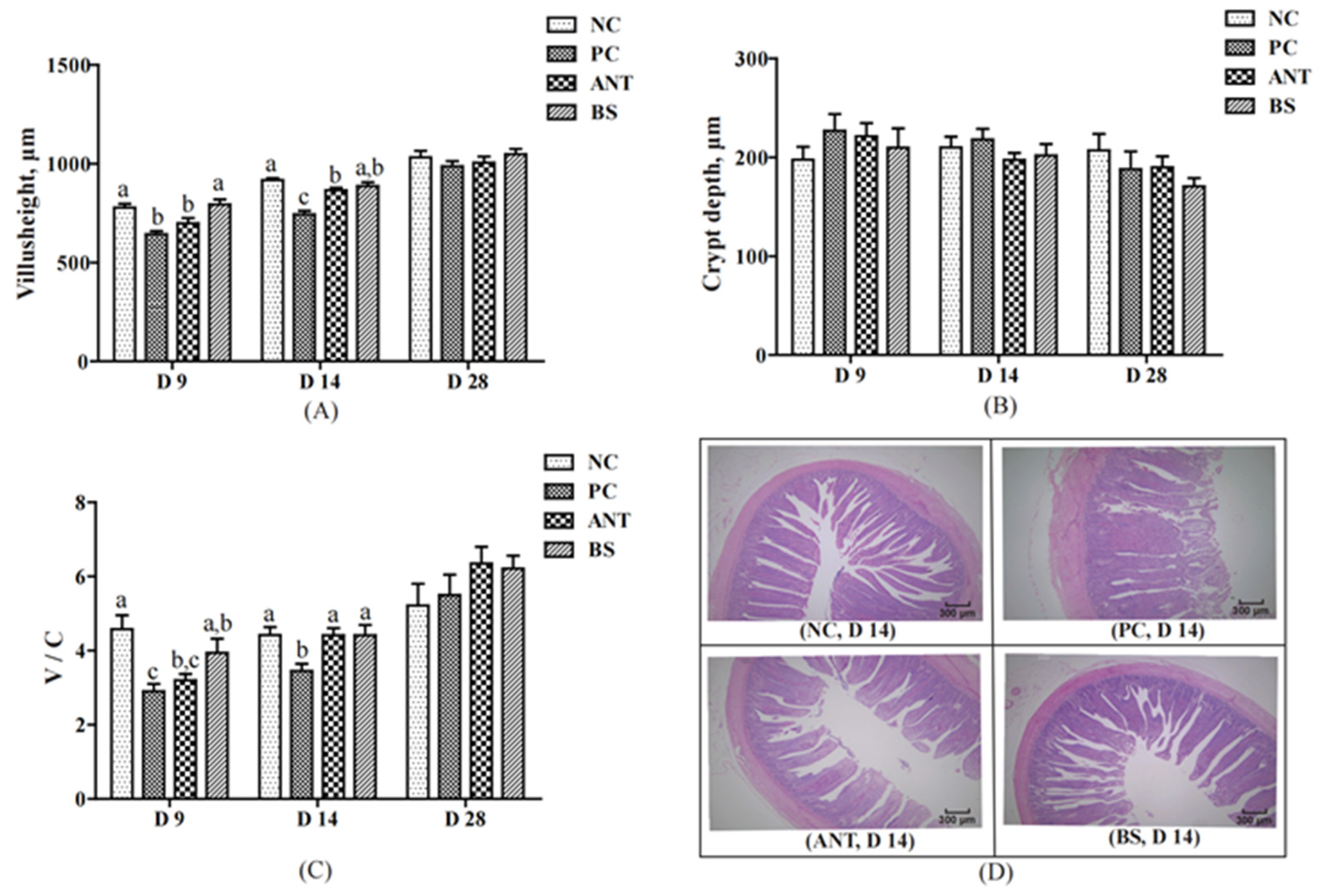 Antioxidants 11 01951 g004