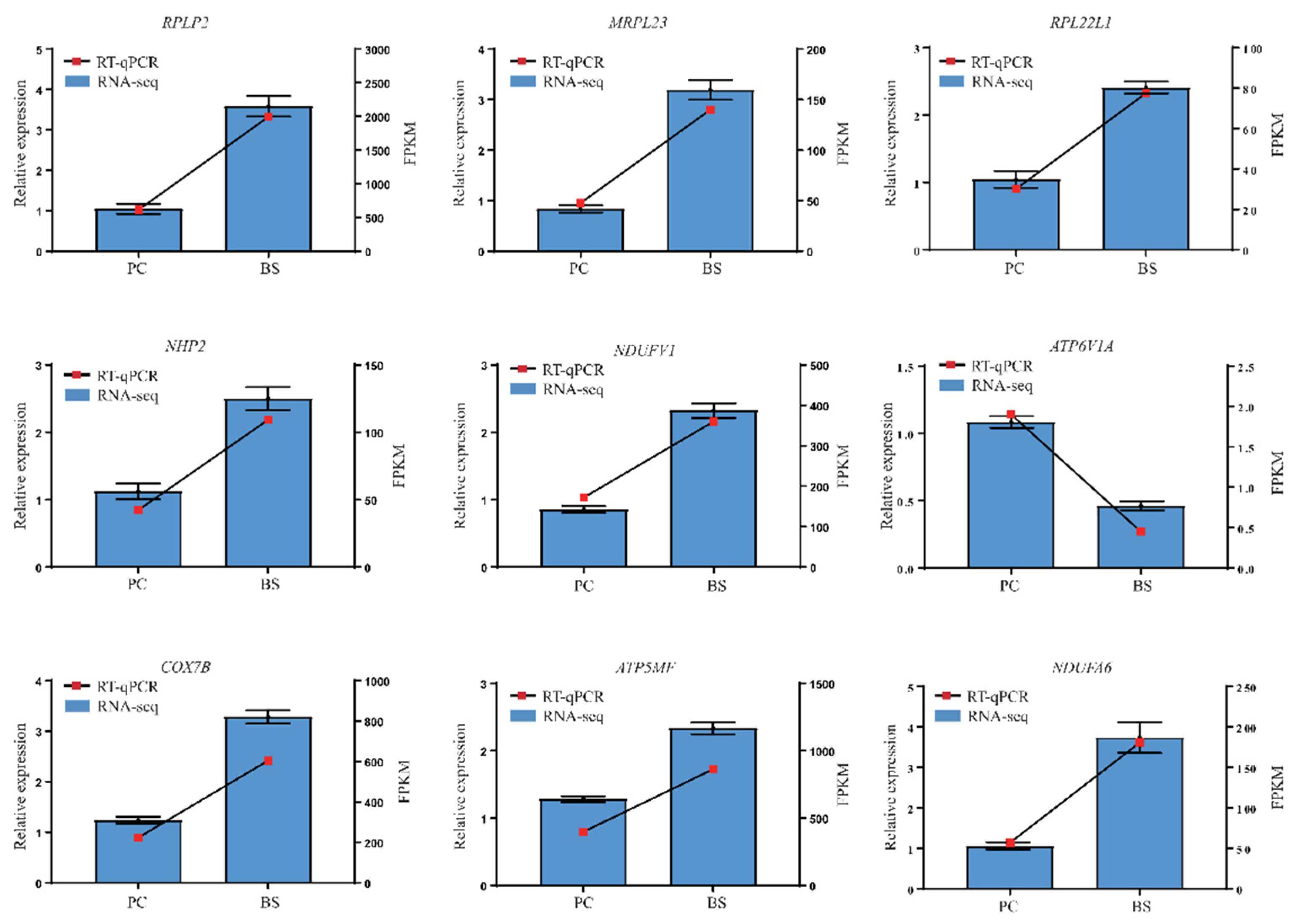 Antioxidants 11 01951 g007
