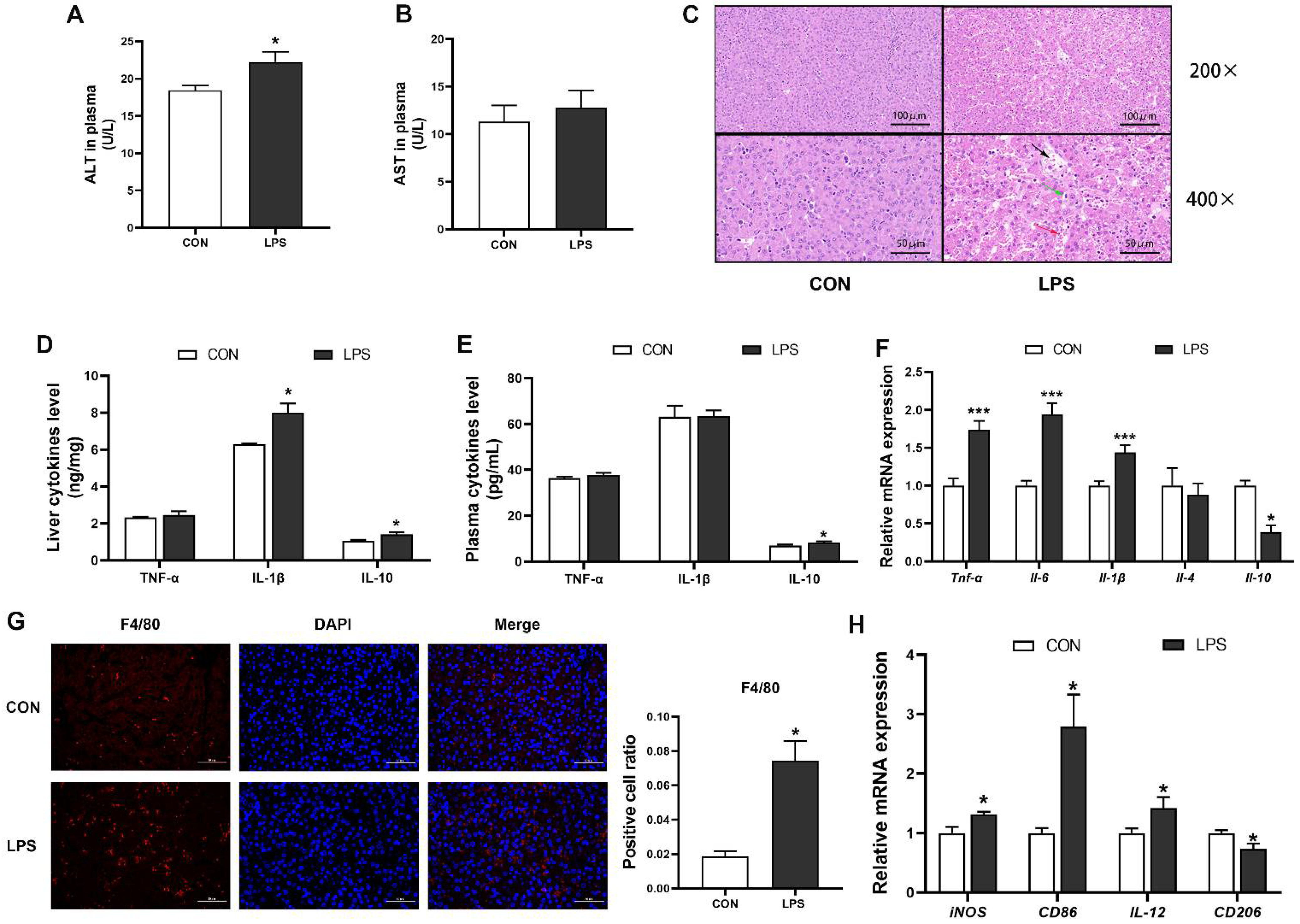 Antioxidants 11 01954 g001