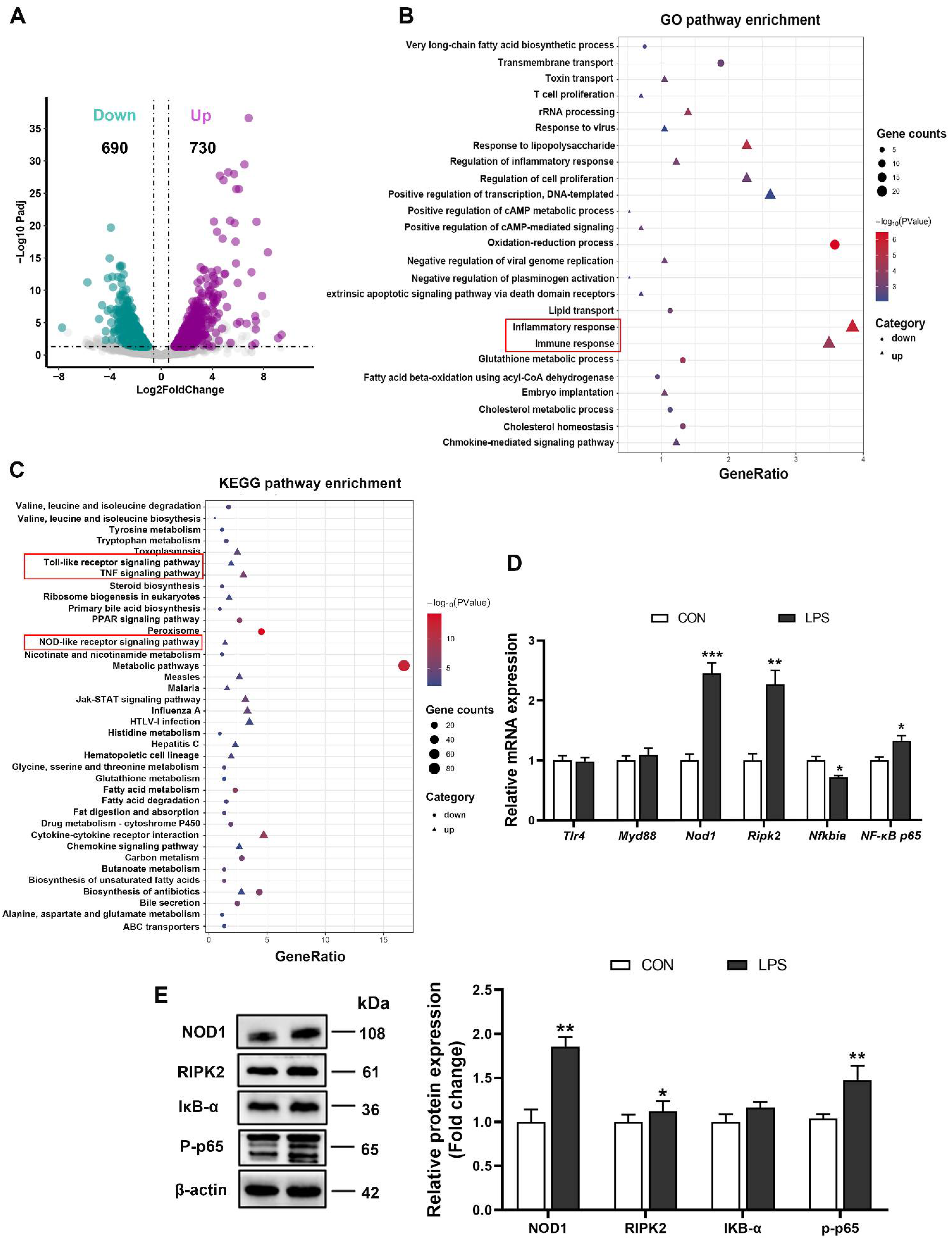 Antioxidants 11 01954 g002