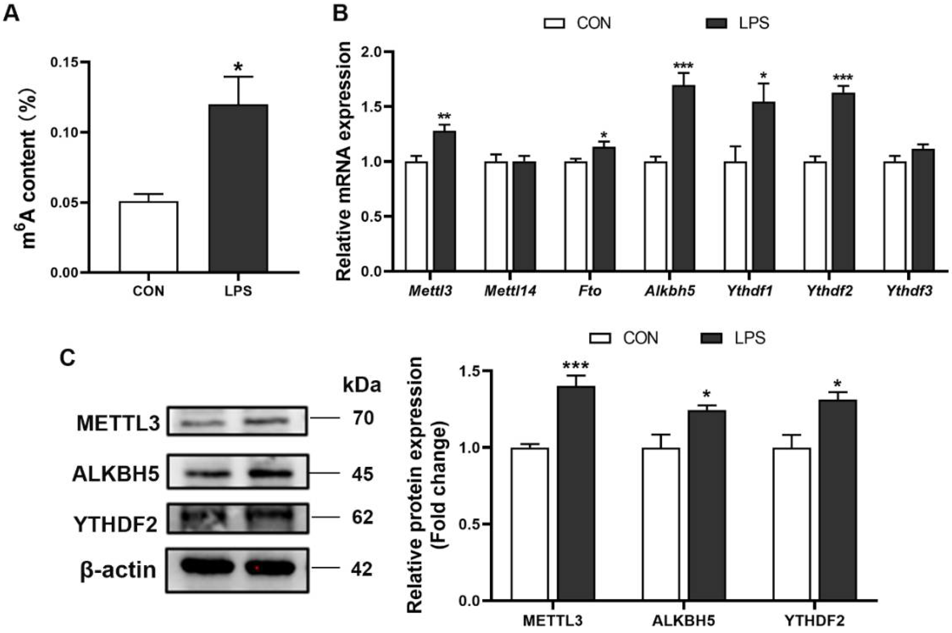 Antioxidants 11 01954 g003