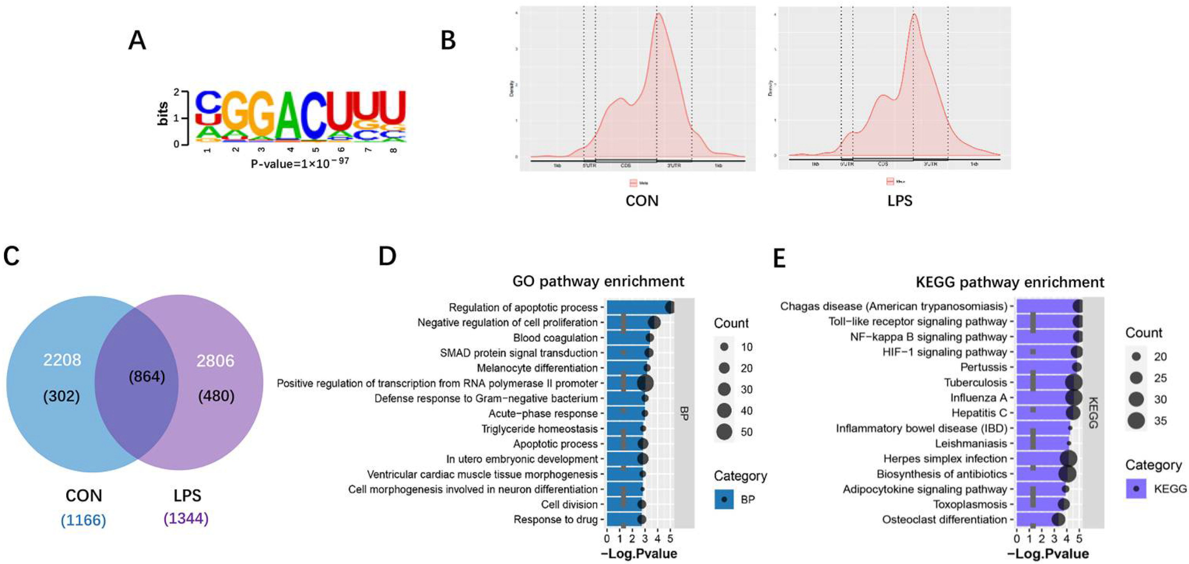 Antioxidants 11 01954 g004