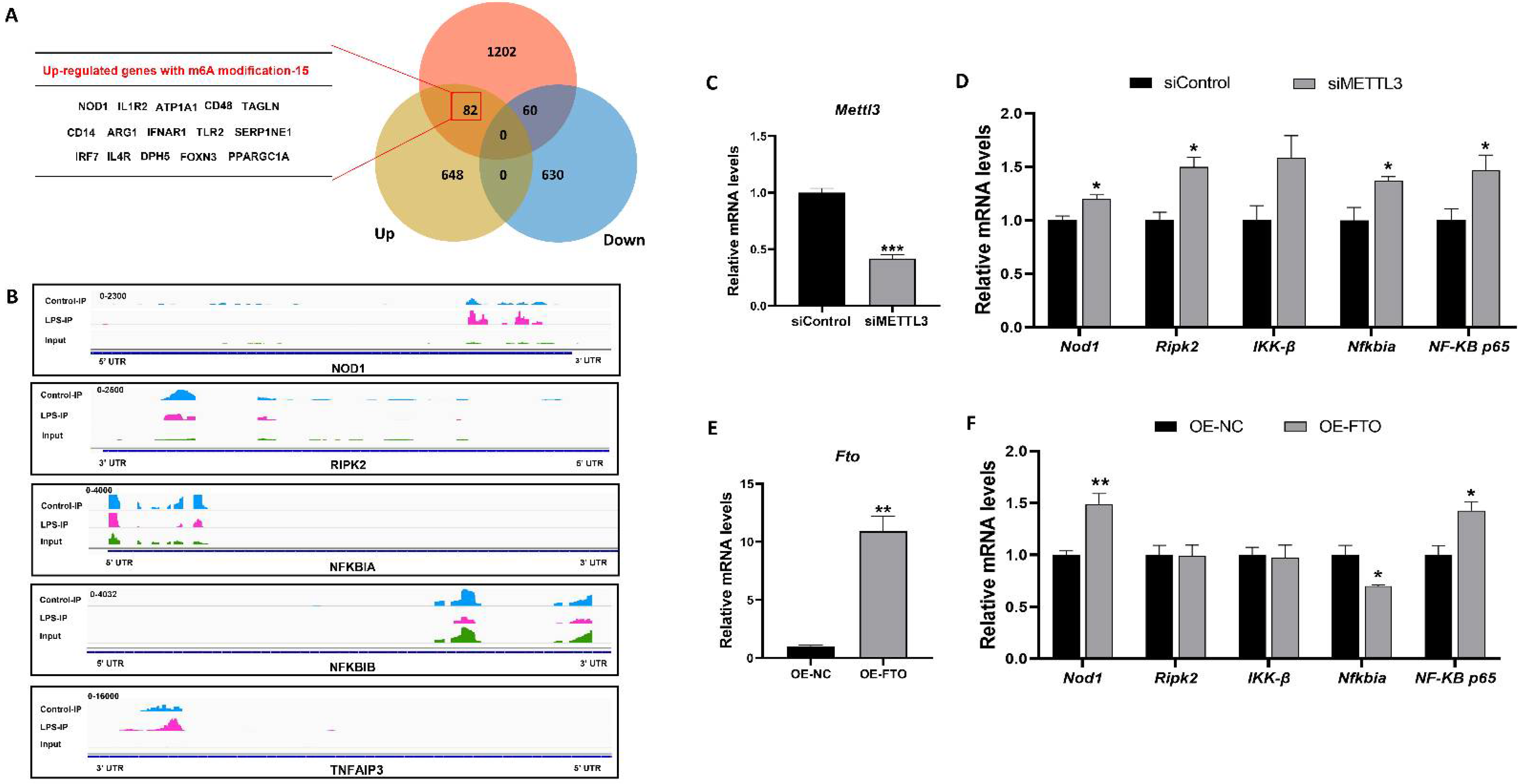 Antioxidants 11 01954 g005