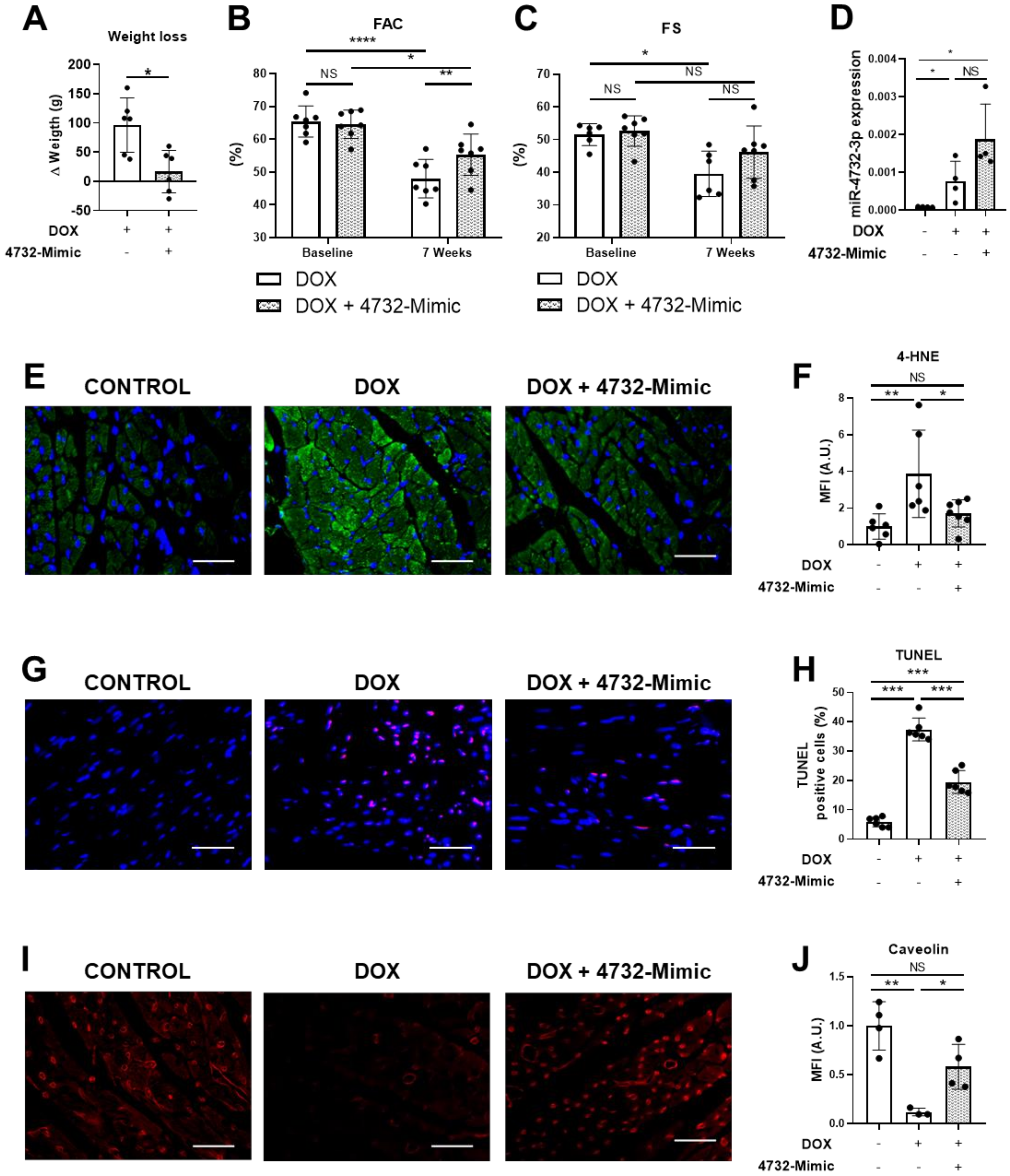 Antioxidants 11 01955 g004