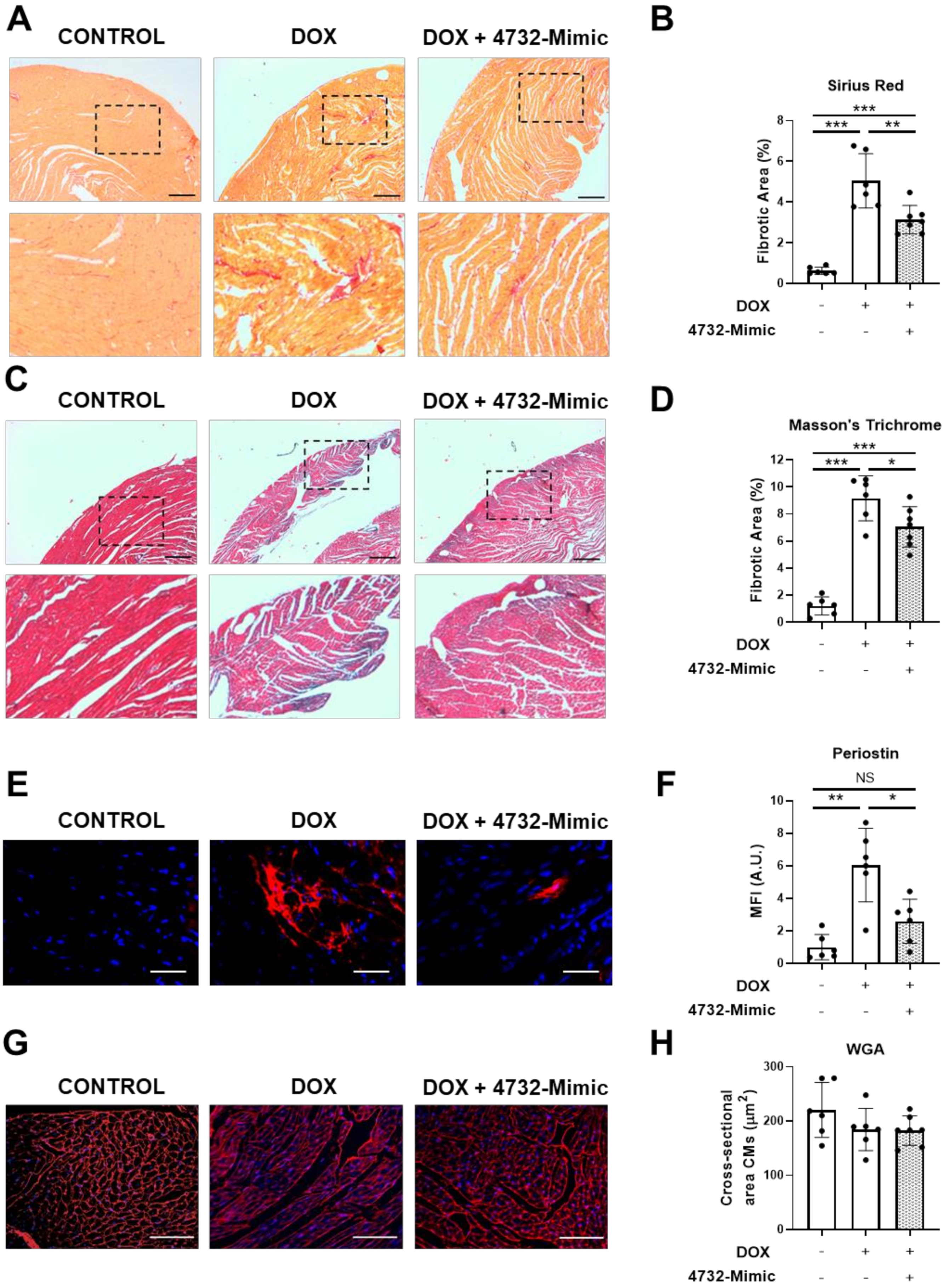 Antioxidants 11 01955 g005