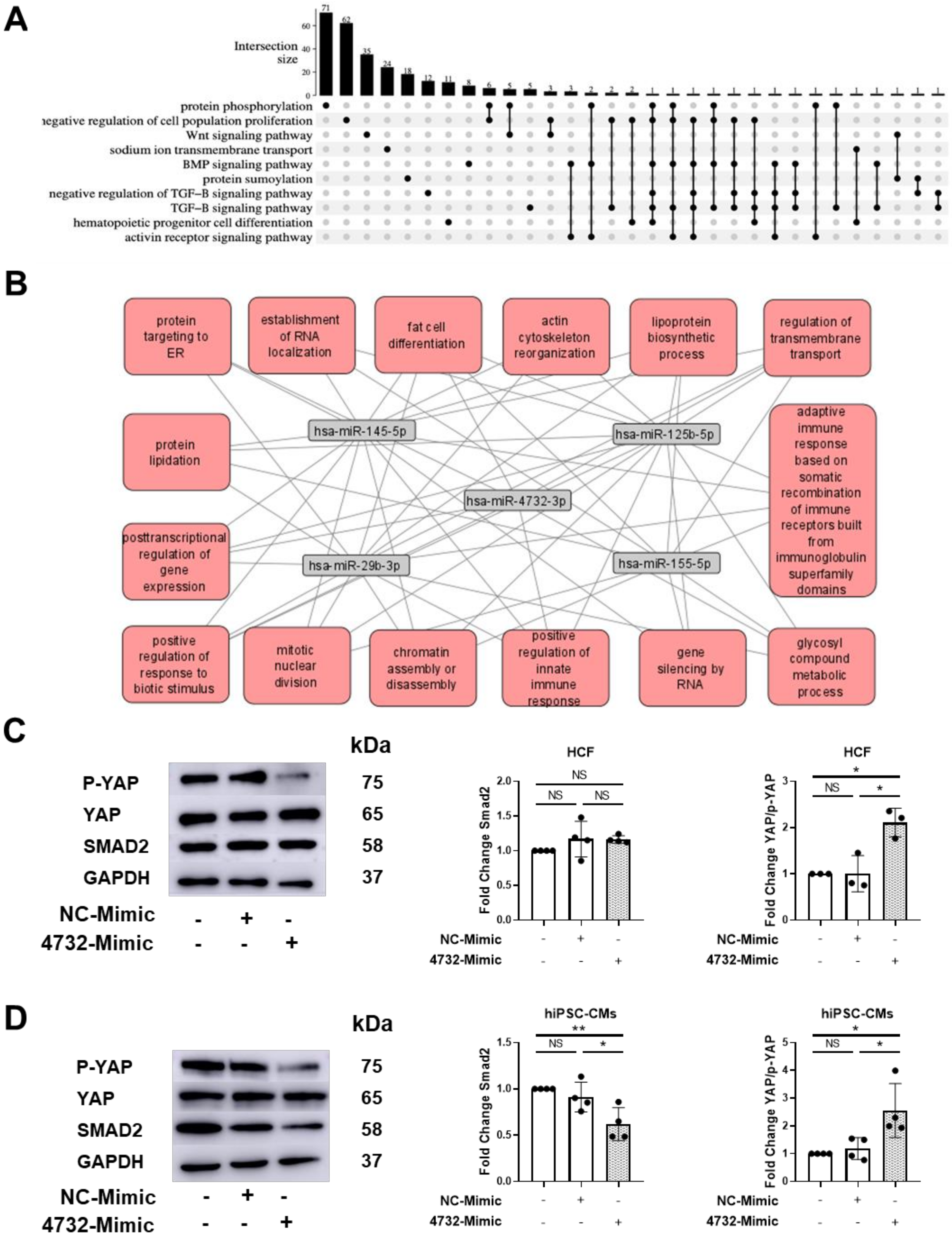Antioxidants 11 01955 g006