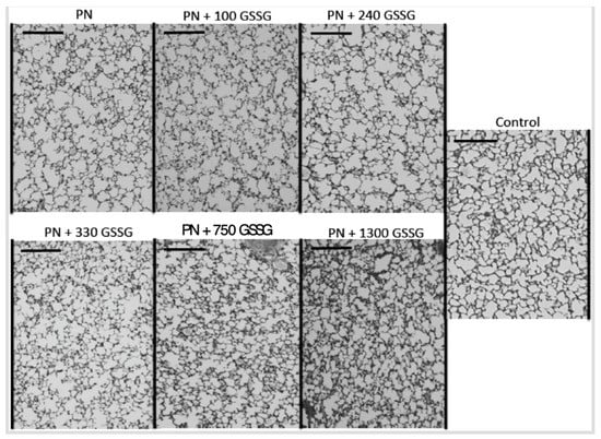 Antioxidants 11 01956 g005