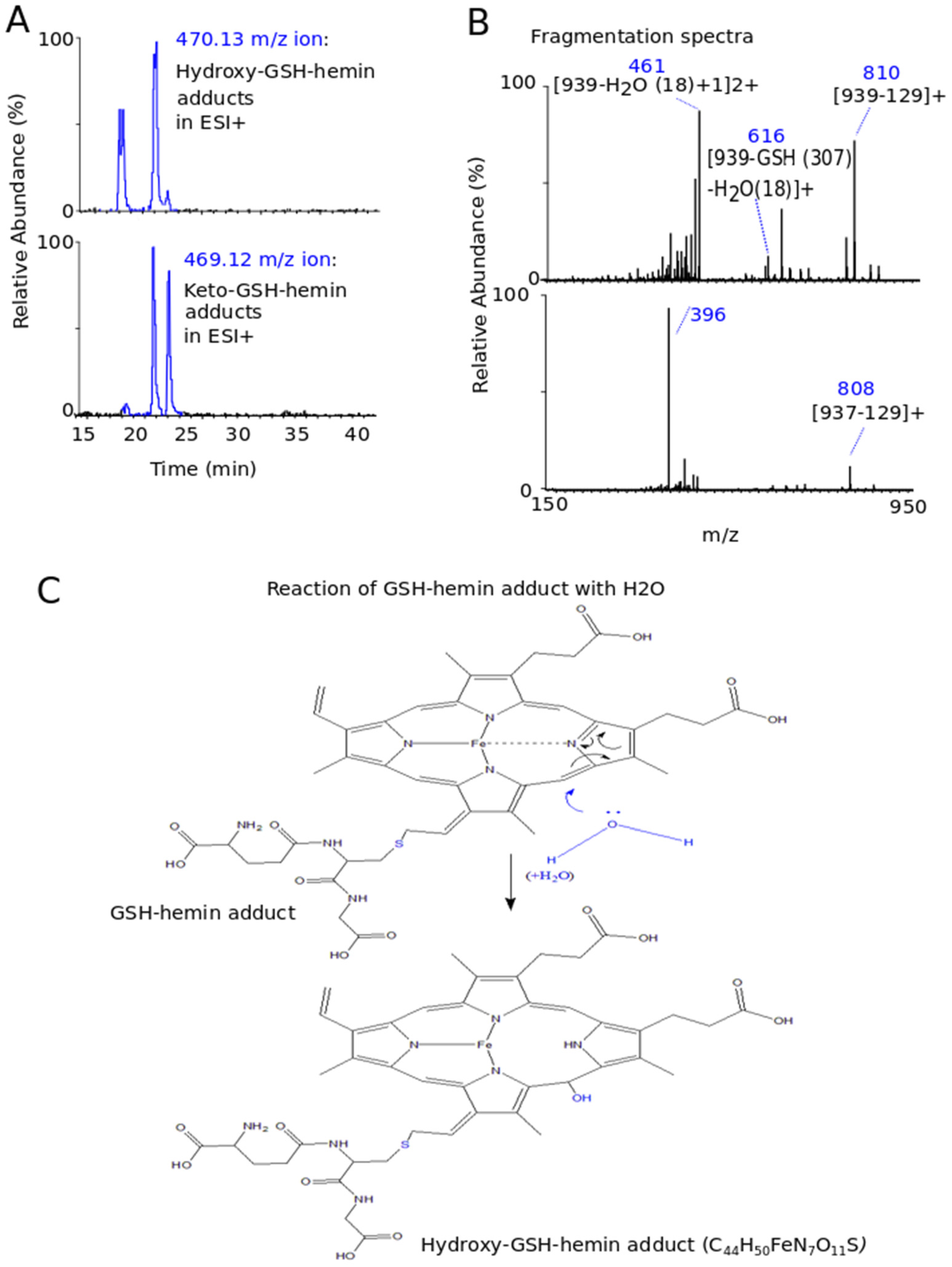 Antioxidants 11 01959 g006