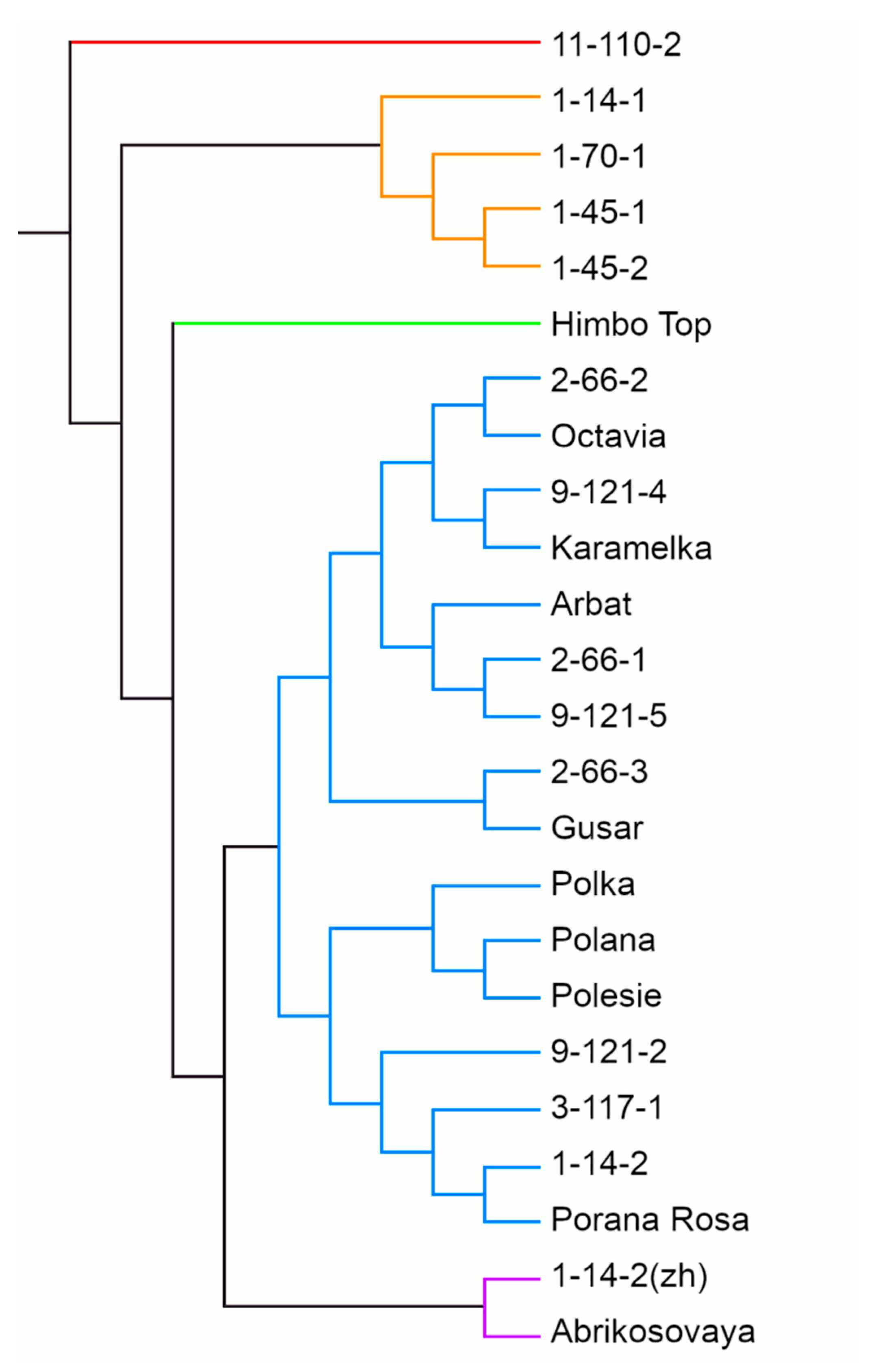Antioxidants 11 01961 g005
