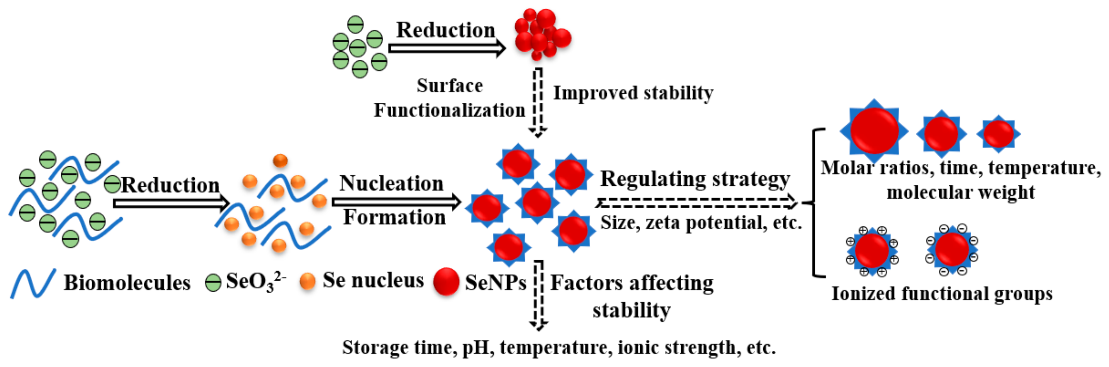 Antioxidants 11 01965 g002