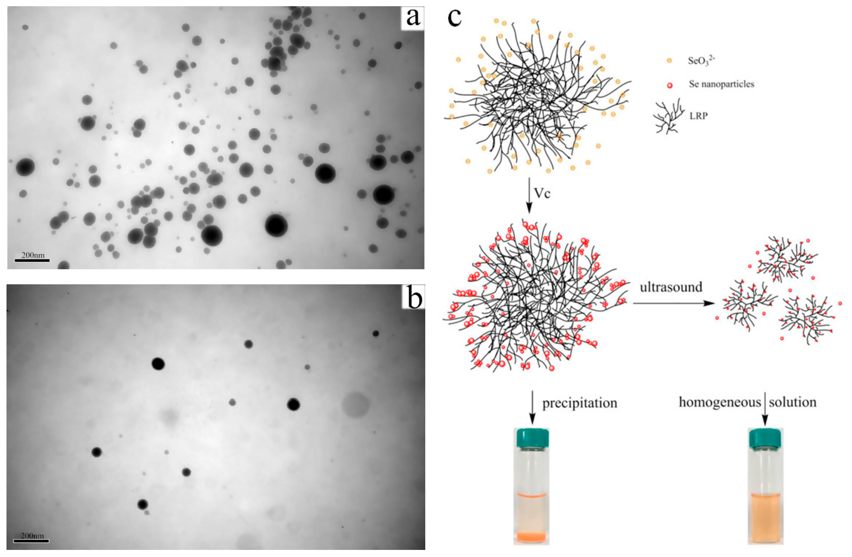 Antioxidants 11 01965 g003