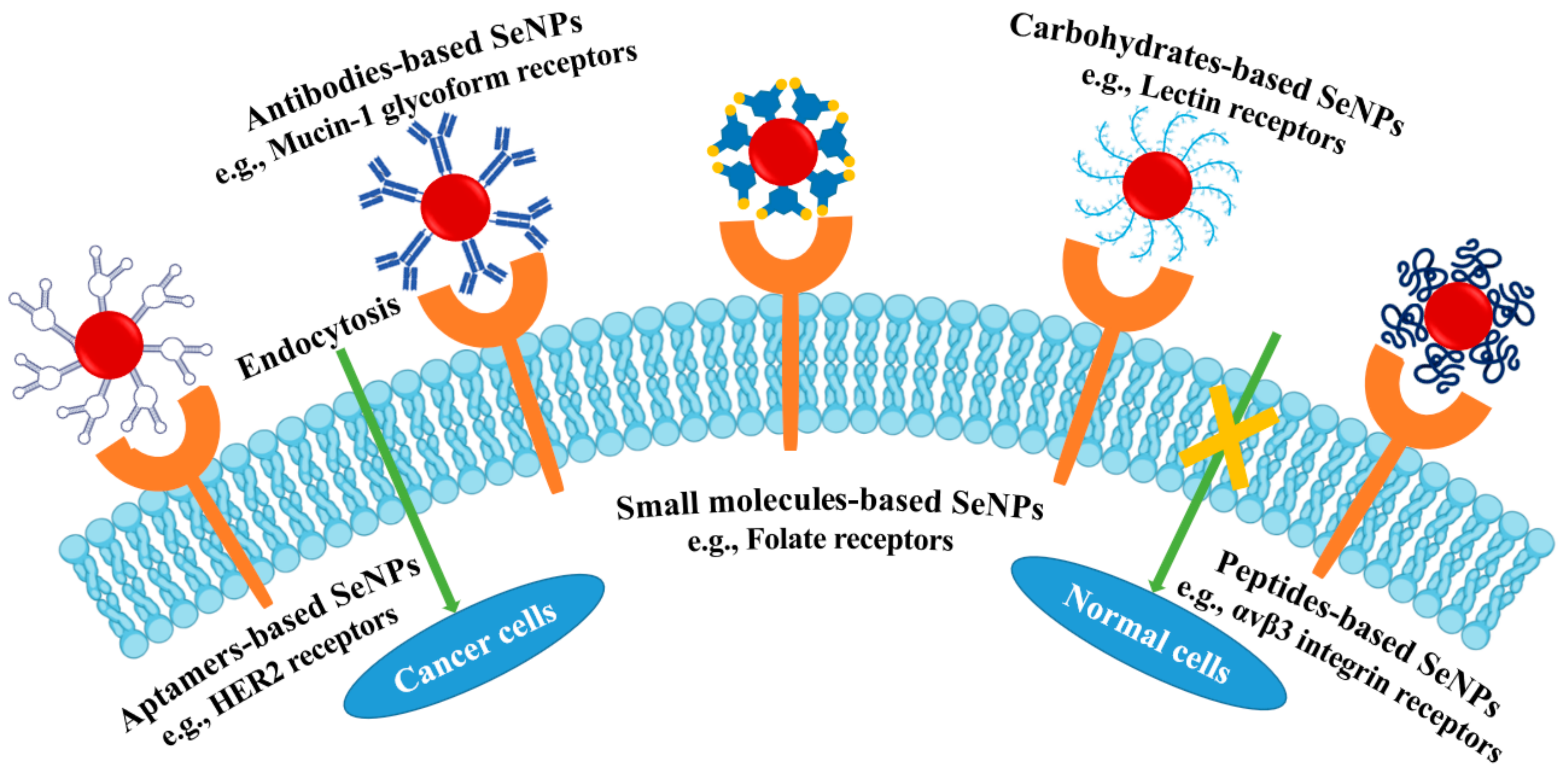 Antioxidants 11 01965 g006