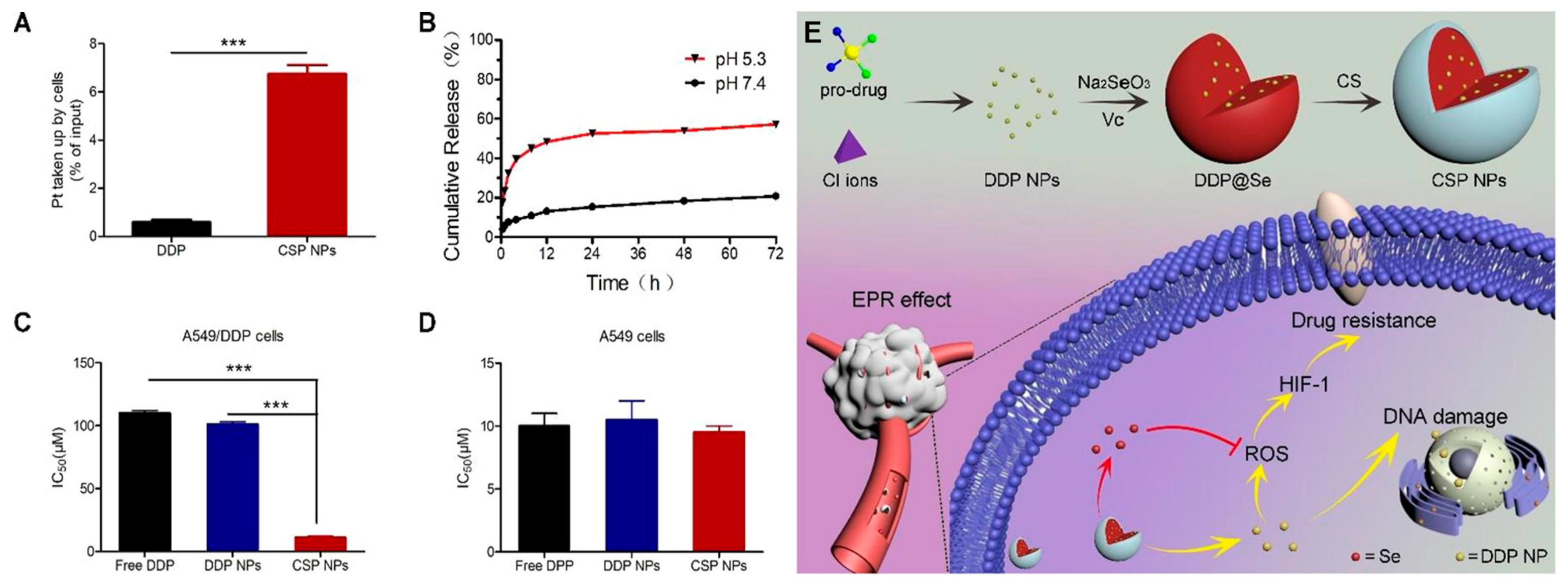 Antioxidants 11 01965 g008