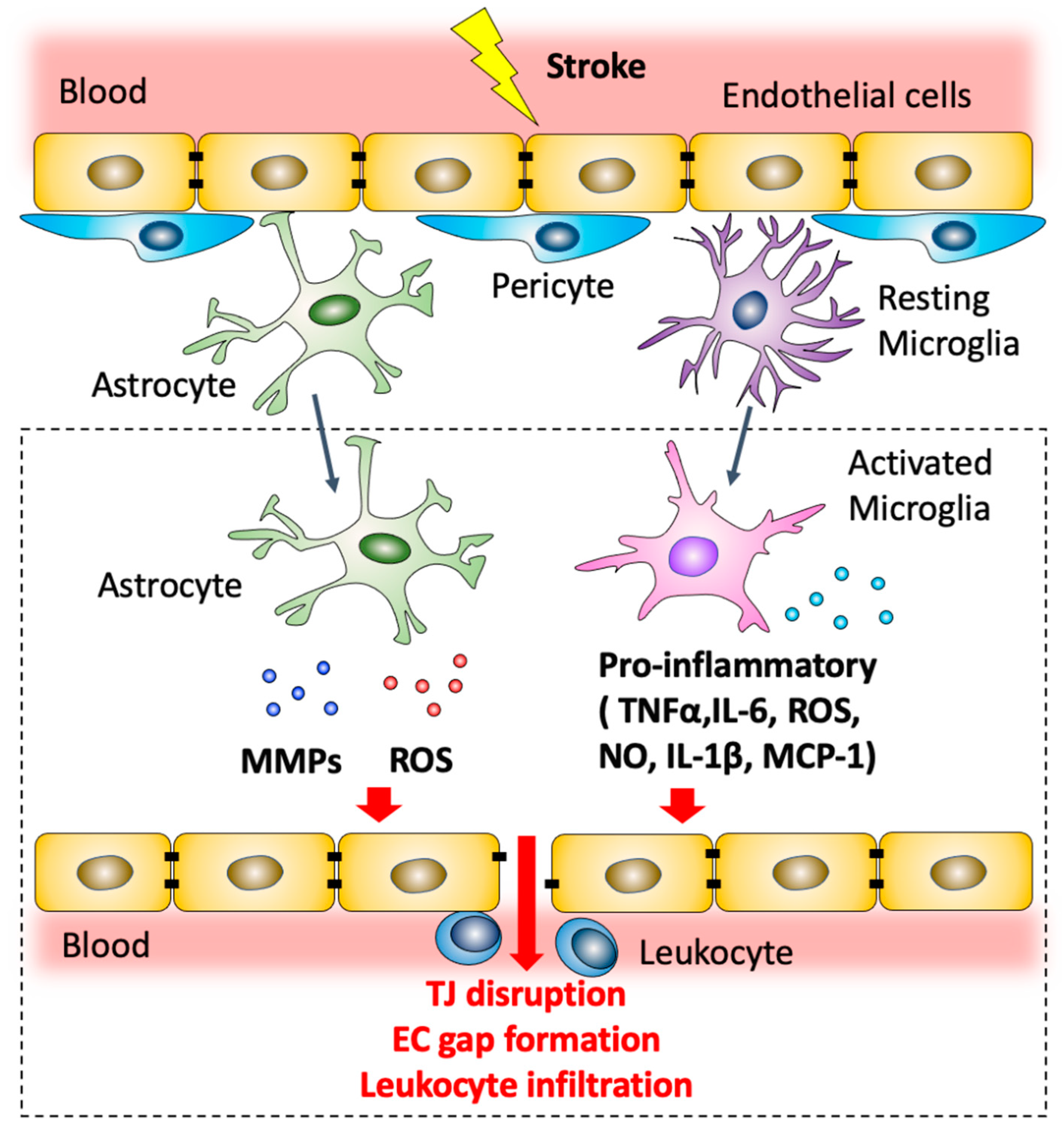 Antioxidants 11 01966 g002