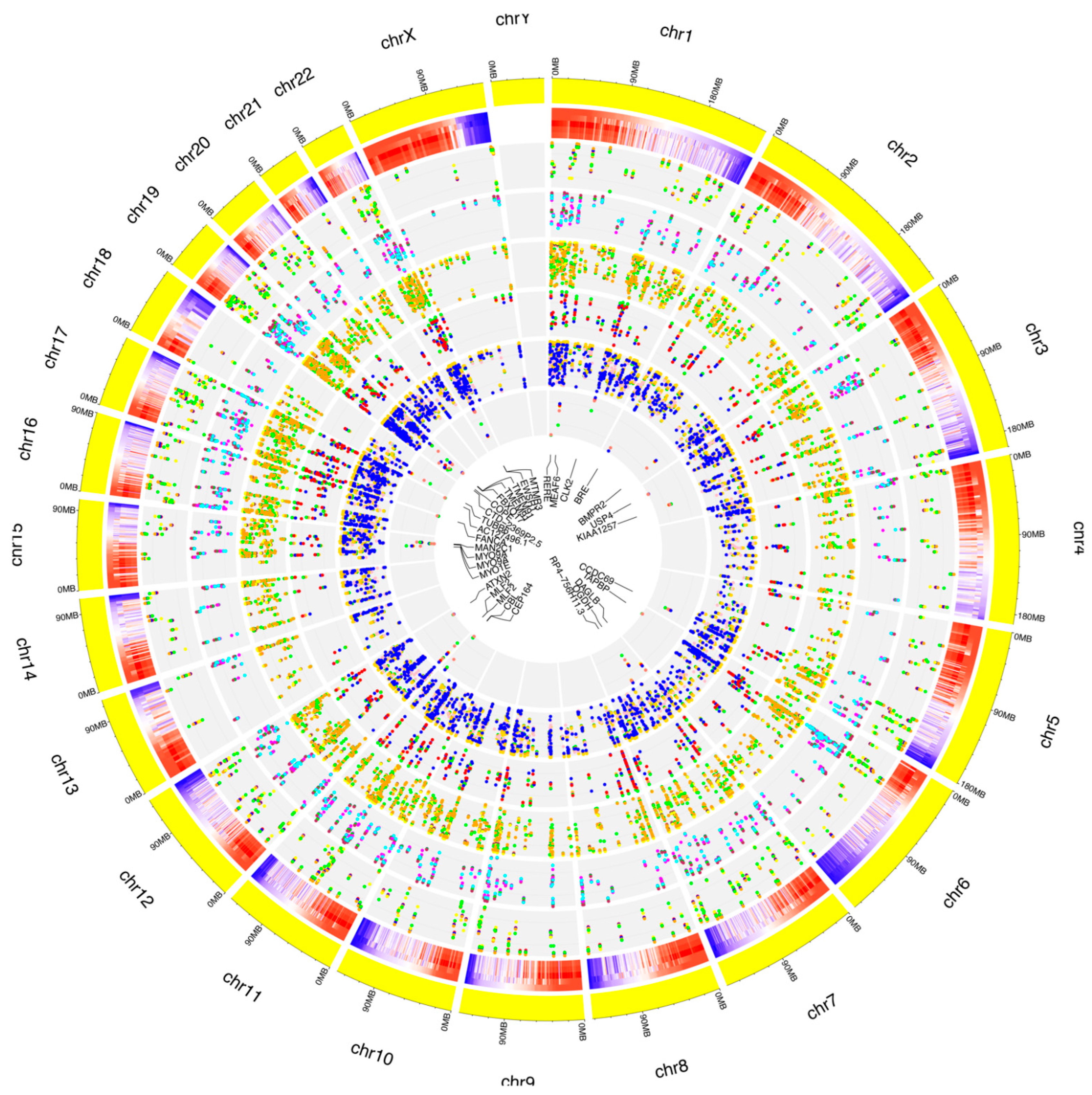 Antioxidants 11 01967 g005