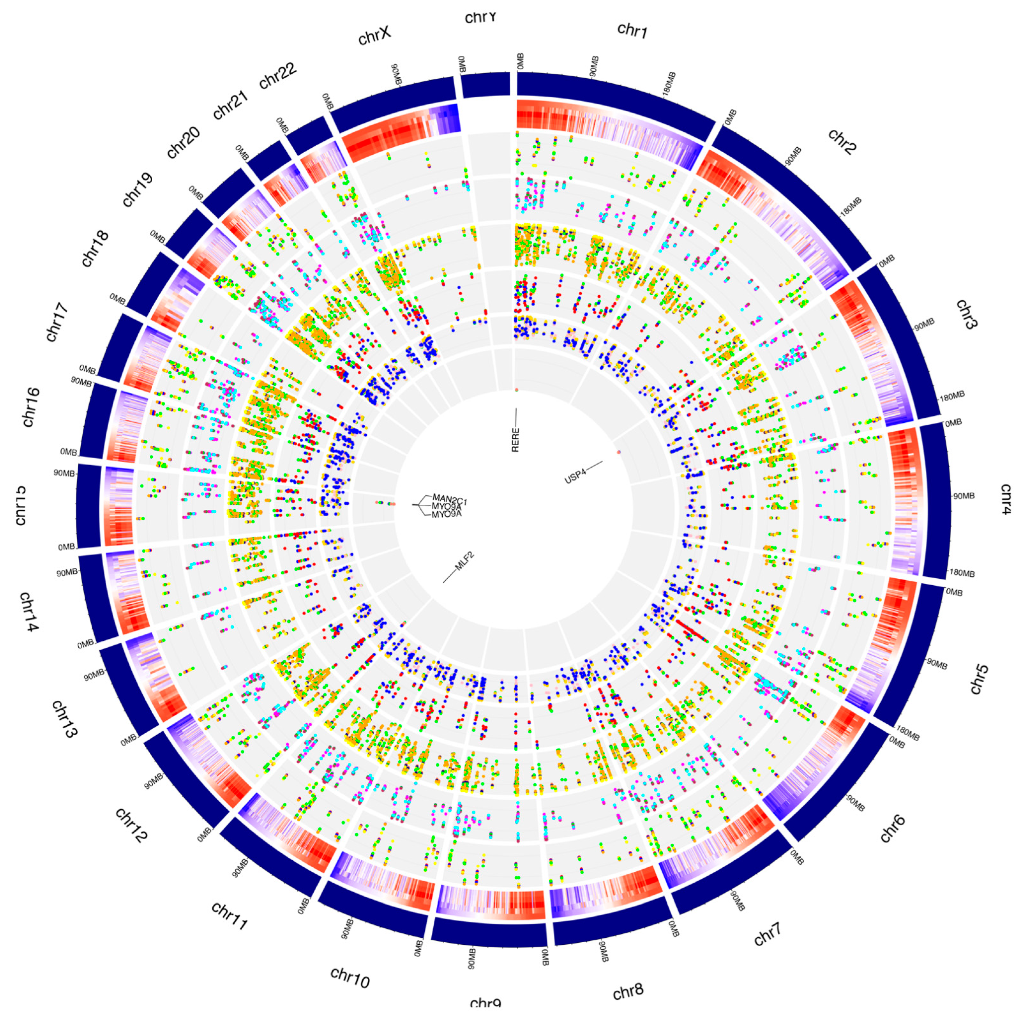Antioxidants 11 01967 g007