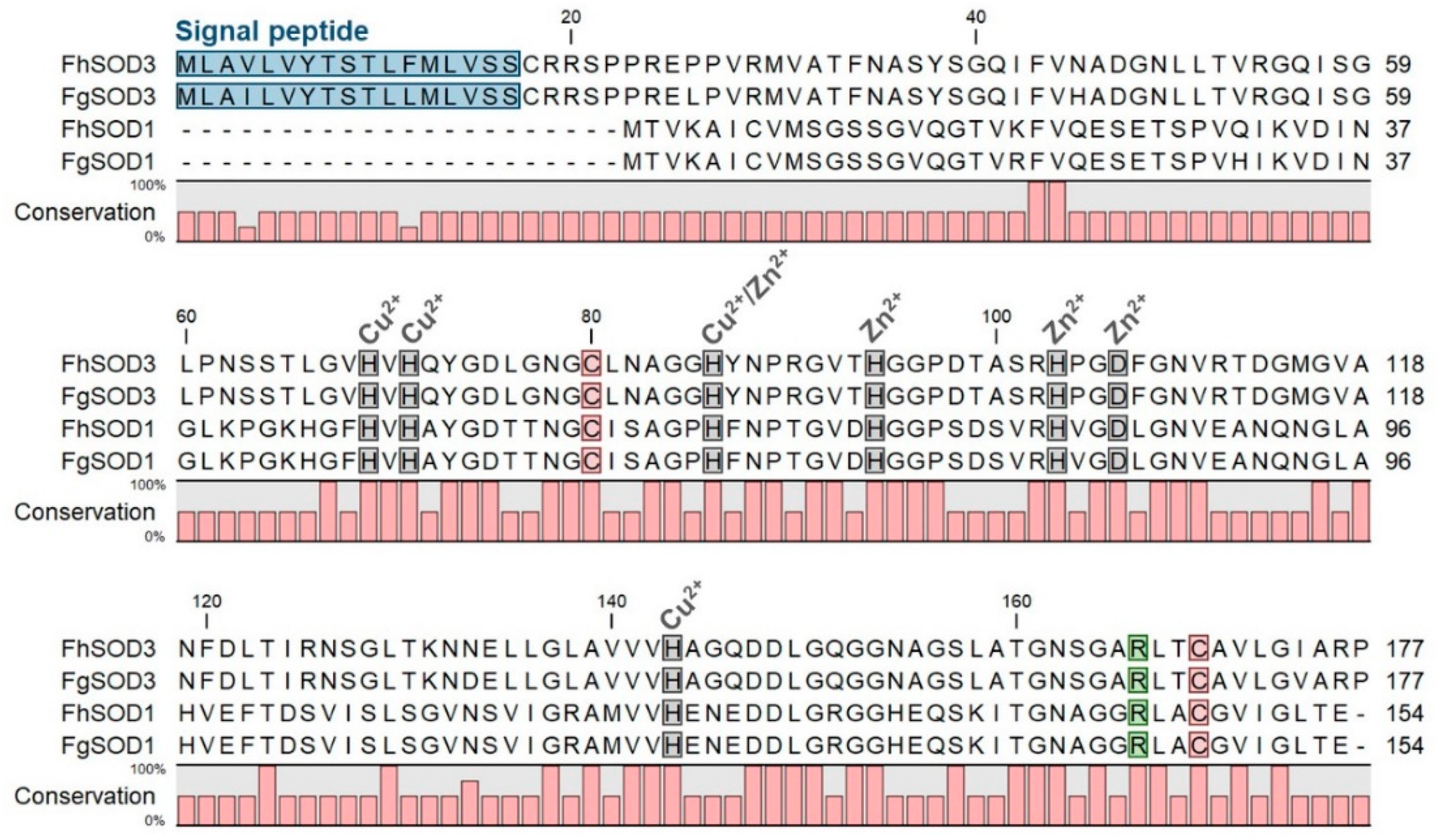 Antioxidants 11 01968 g001