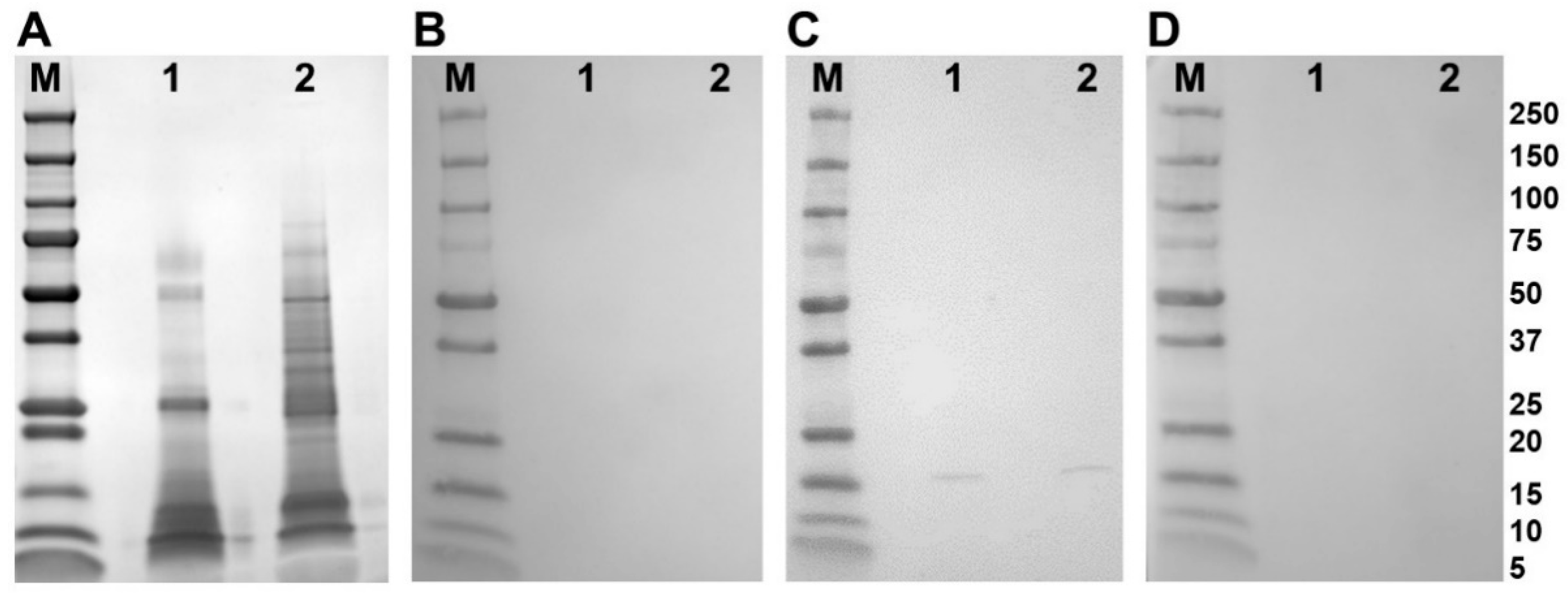 Antioxidants 11 01968 g004