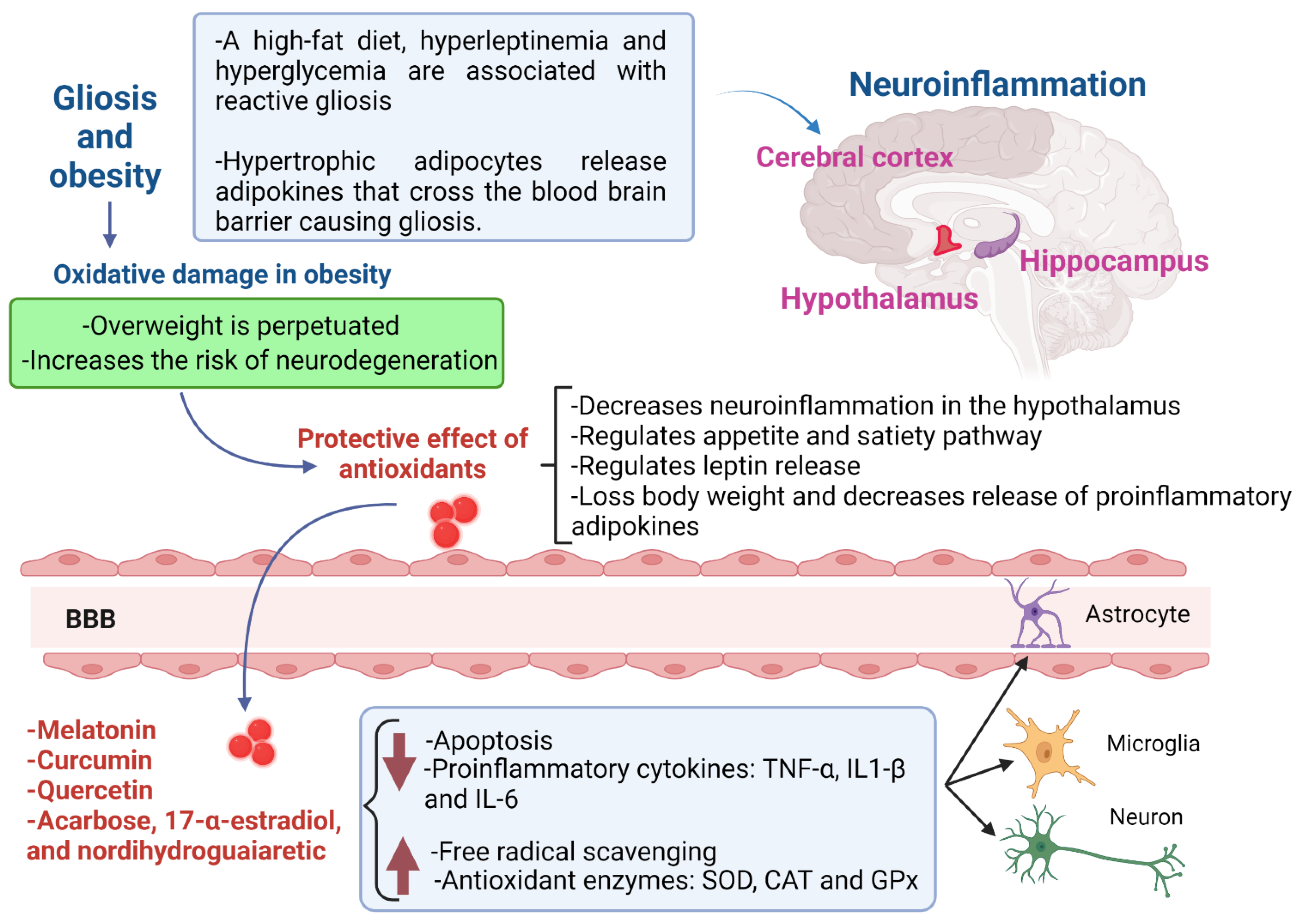 Antioxidants 11 01972 g001