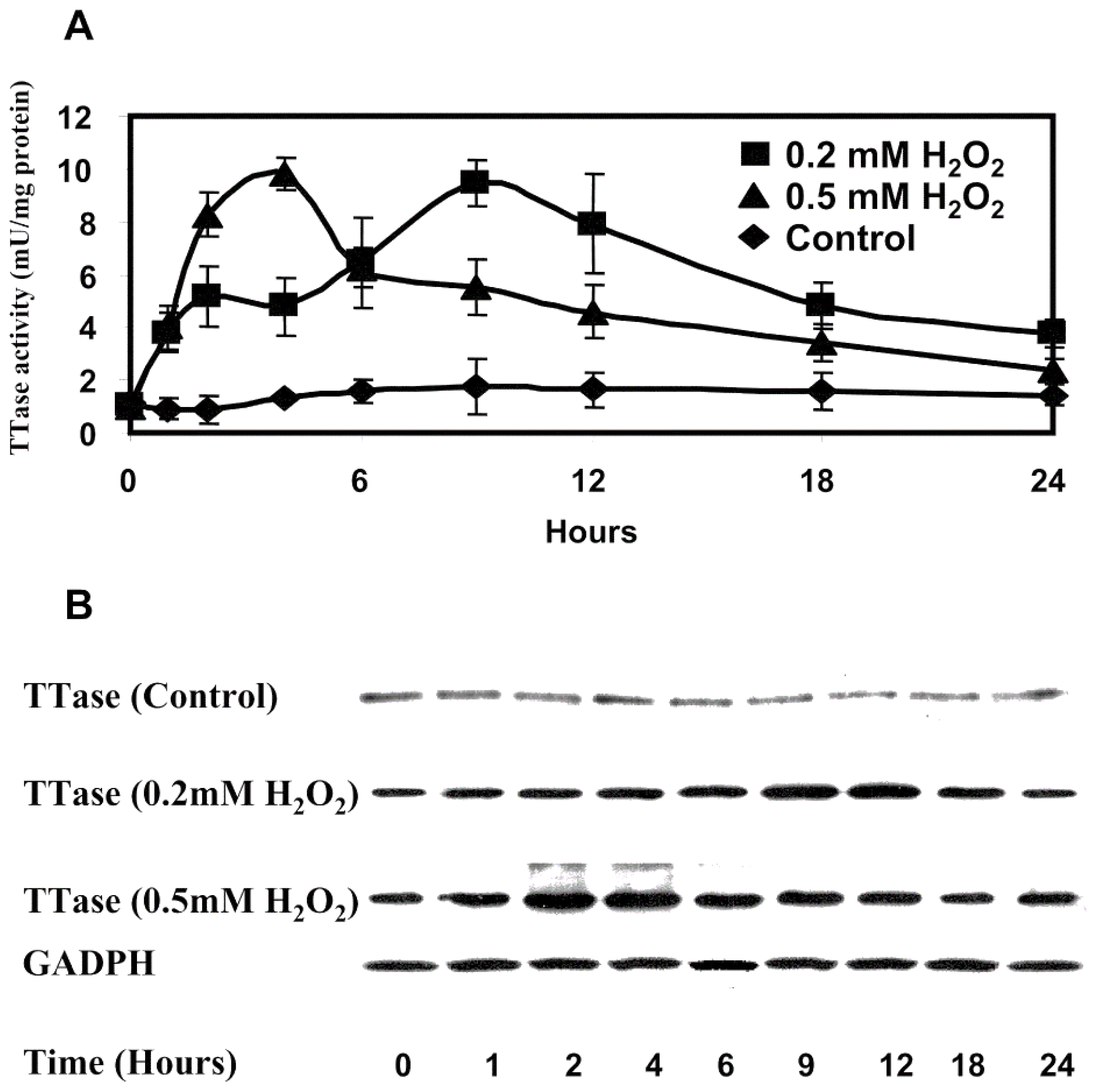 Antioxidants 11 01973 g005 Antioxidants 11 01973 g005