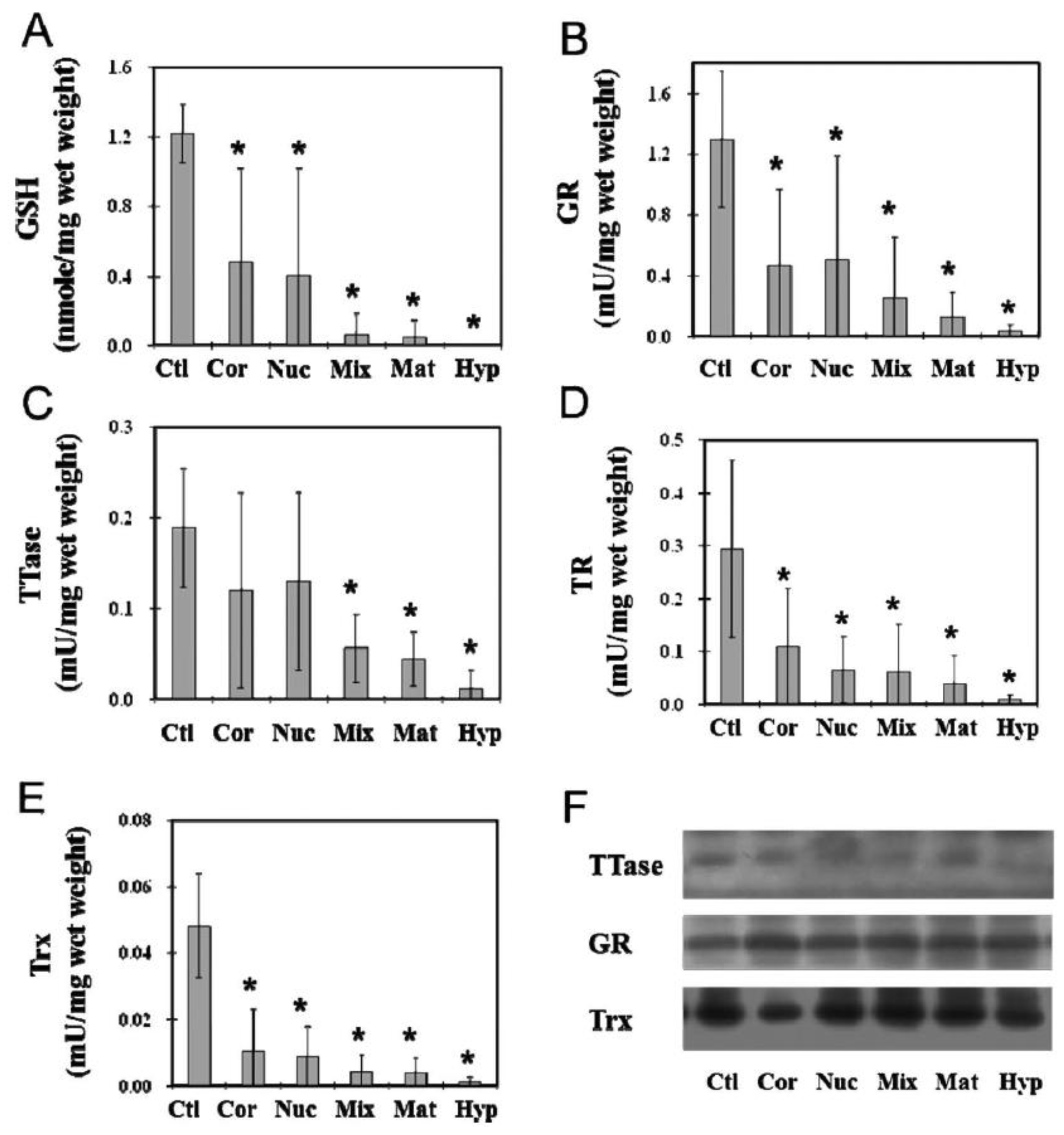 Antioxidants 11 01973 g017 Antioxidants 11 01973 g017