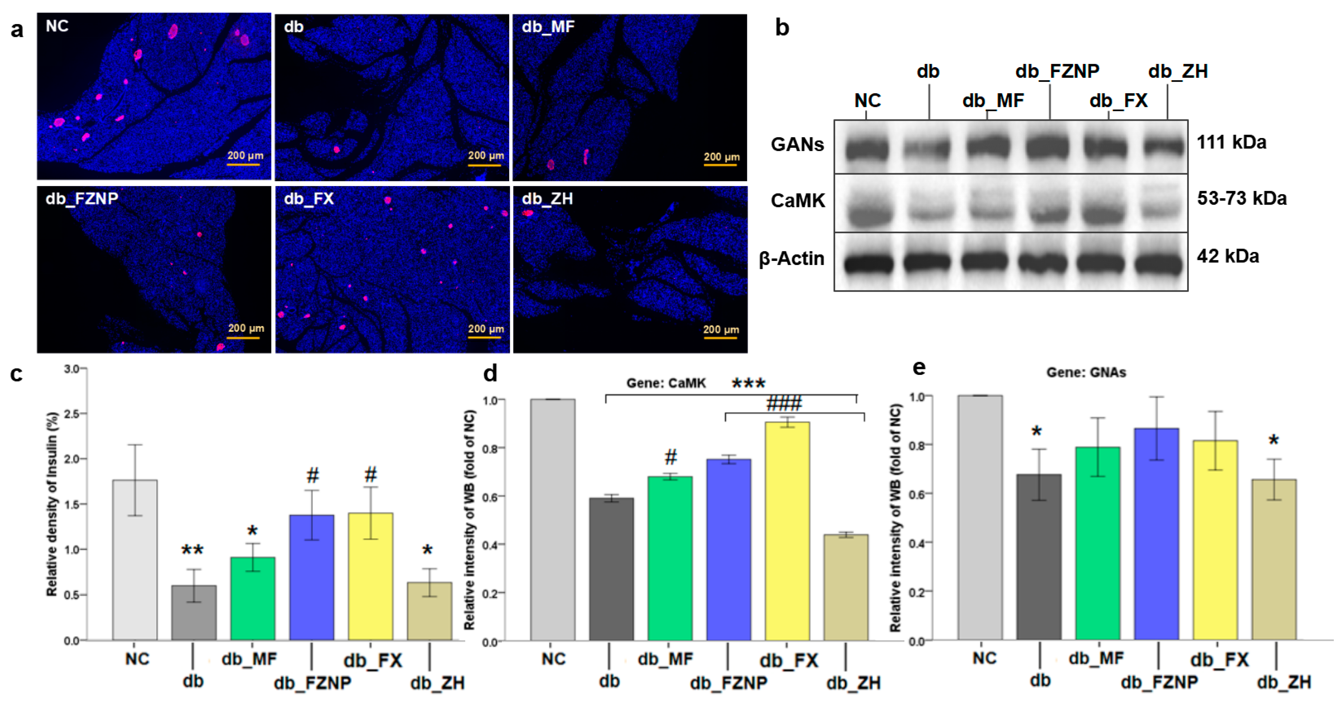 Antioxidants 11 01976 g005