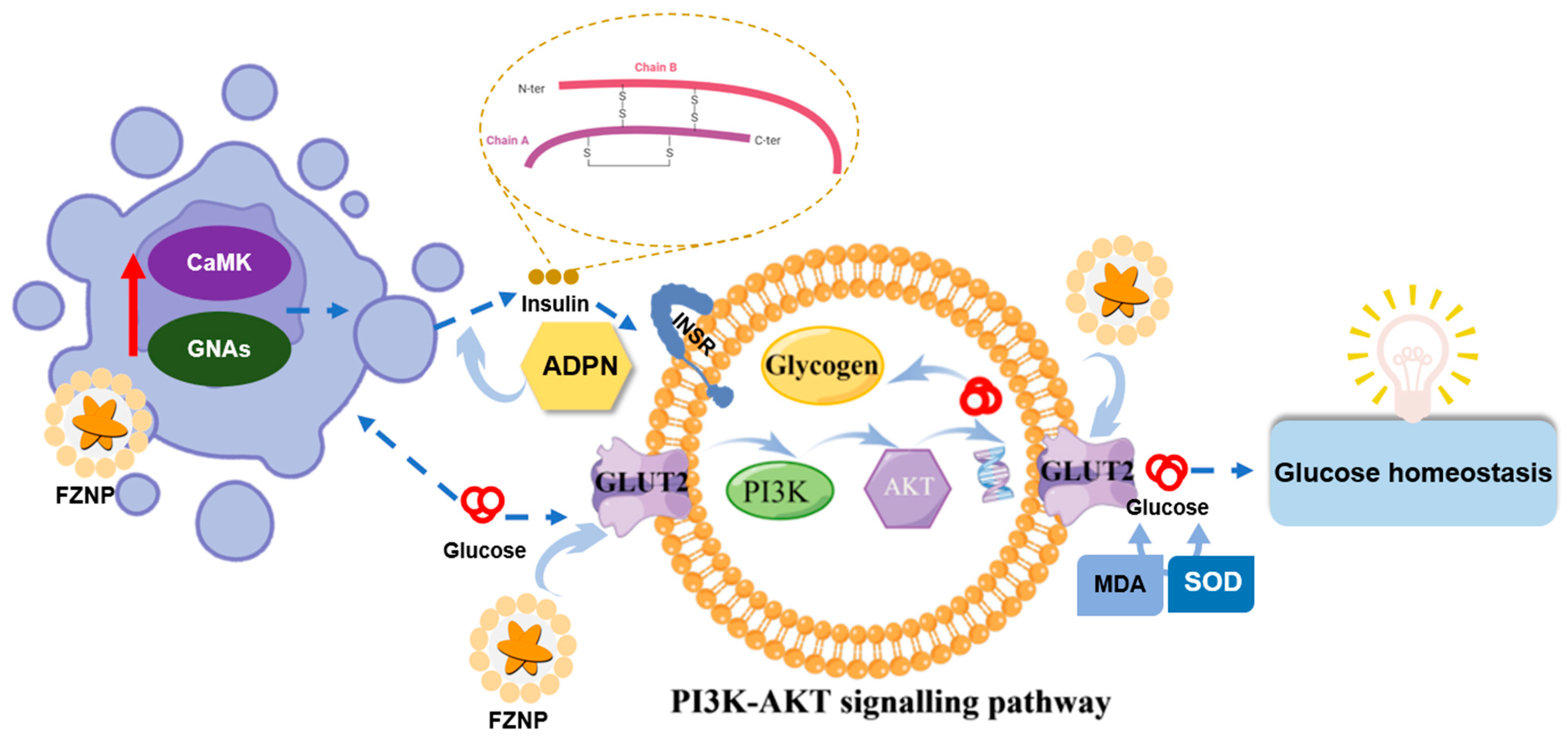 Antioxidants 11 01976 g006