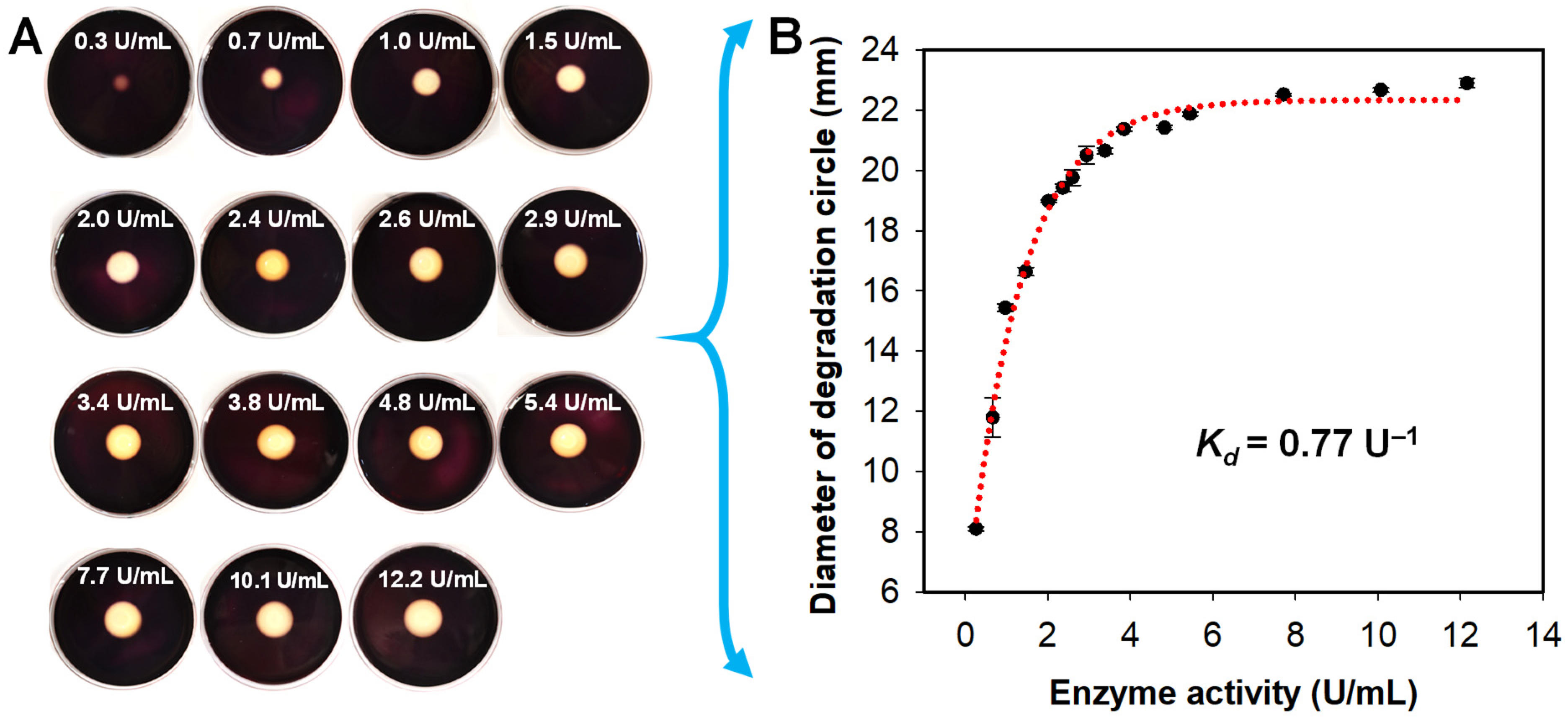 Antioxidants 11 01977 g004 Antioxidants 11 01977 g004
