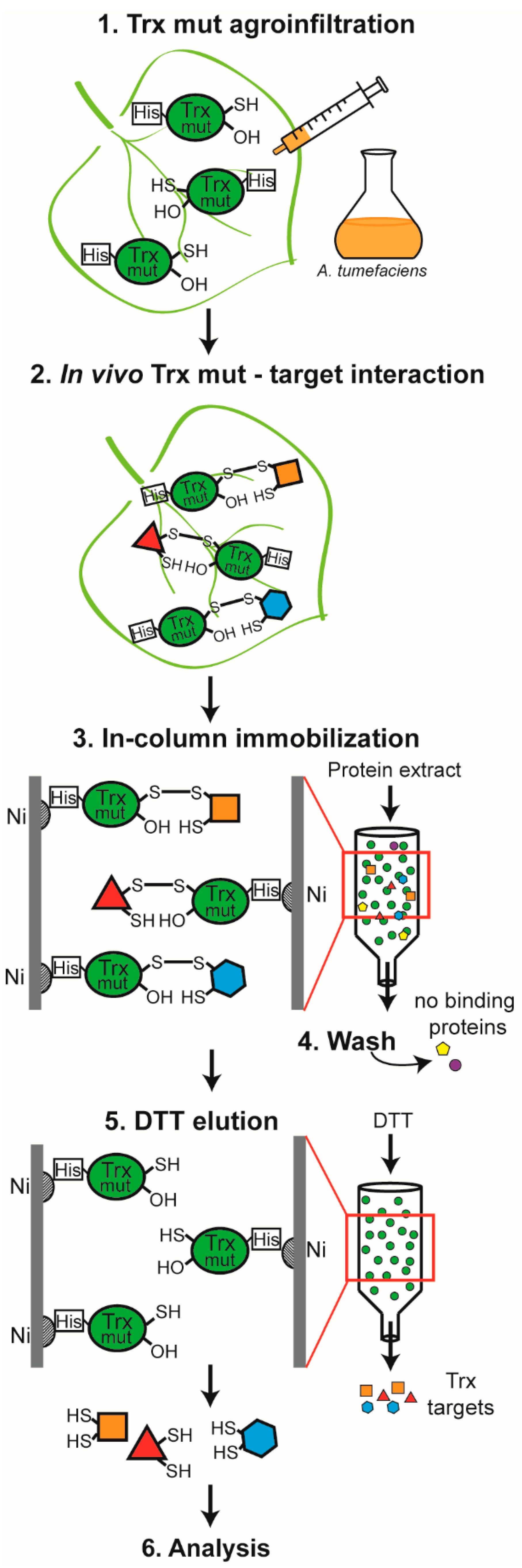 Antioxidants 11 01979 g001