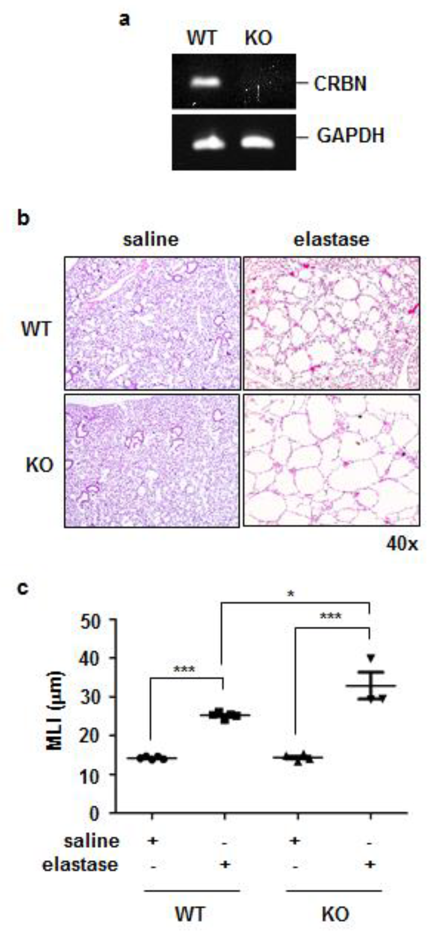 Antioxidants 11 01980 g002