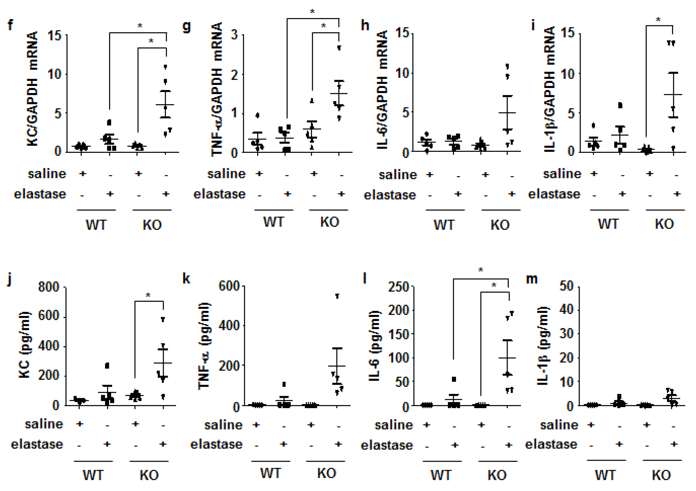 Antioxidants 11 01980 g003b