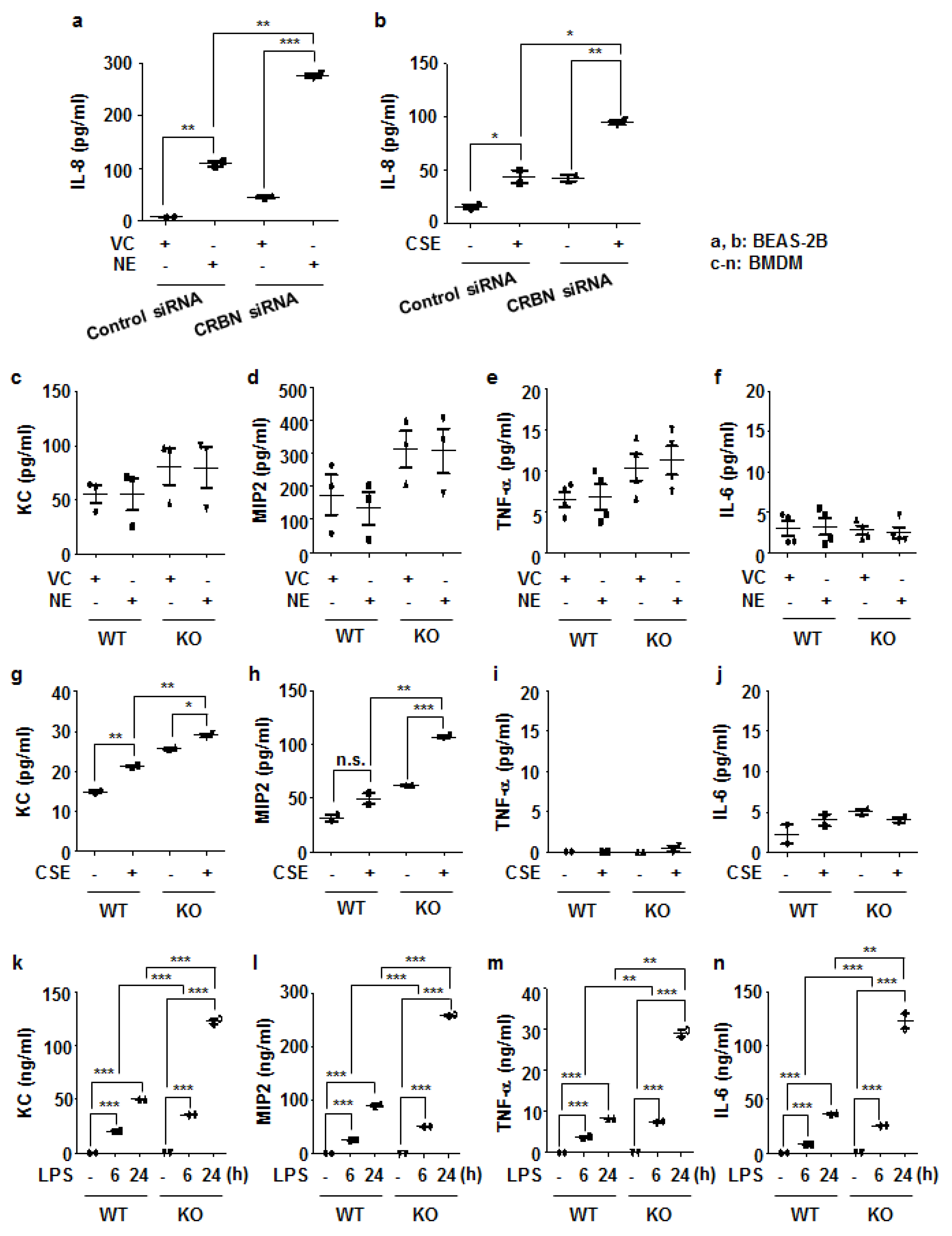 Antioxidants 11 01980 g004