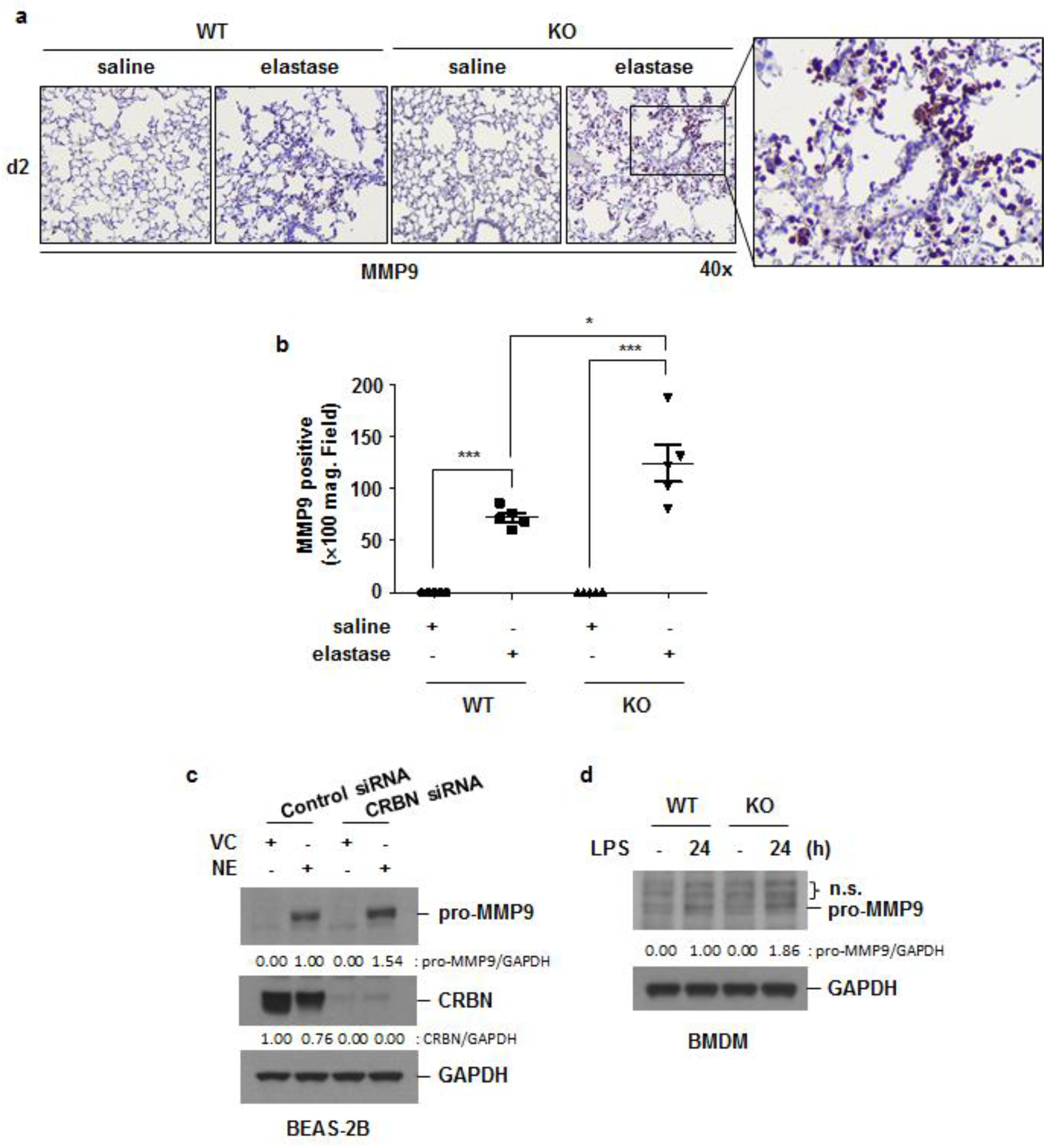 Antioxidants 11 01980 g007