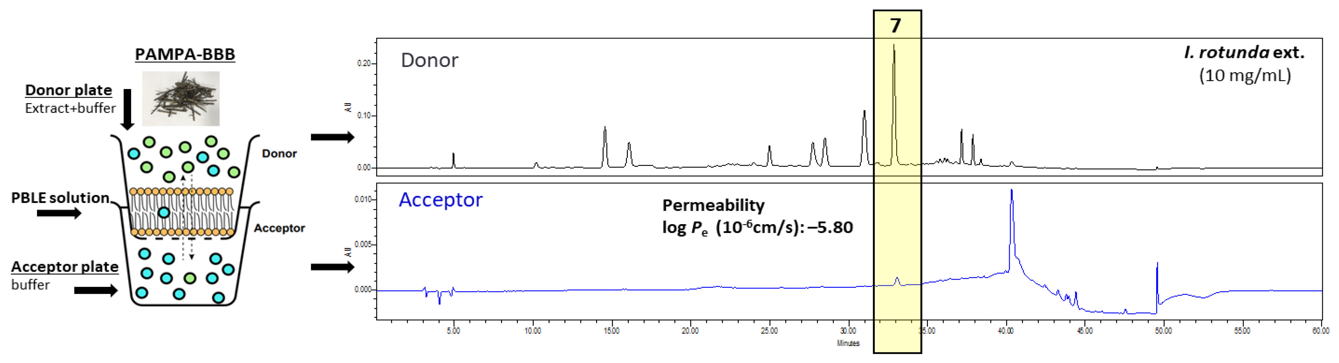 Antioxidants 11 01989 g006