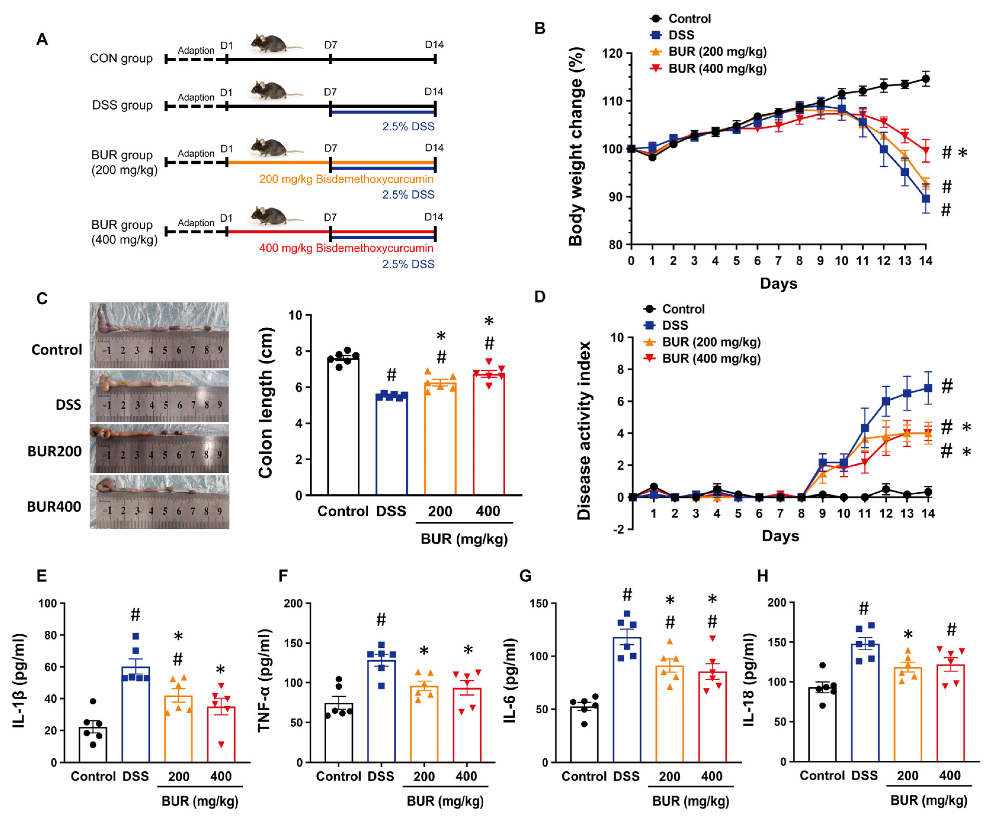 Antioxidants 11 01994 g001