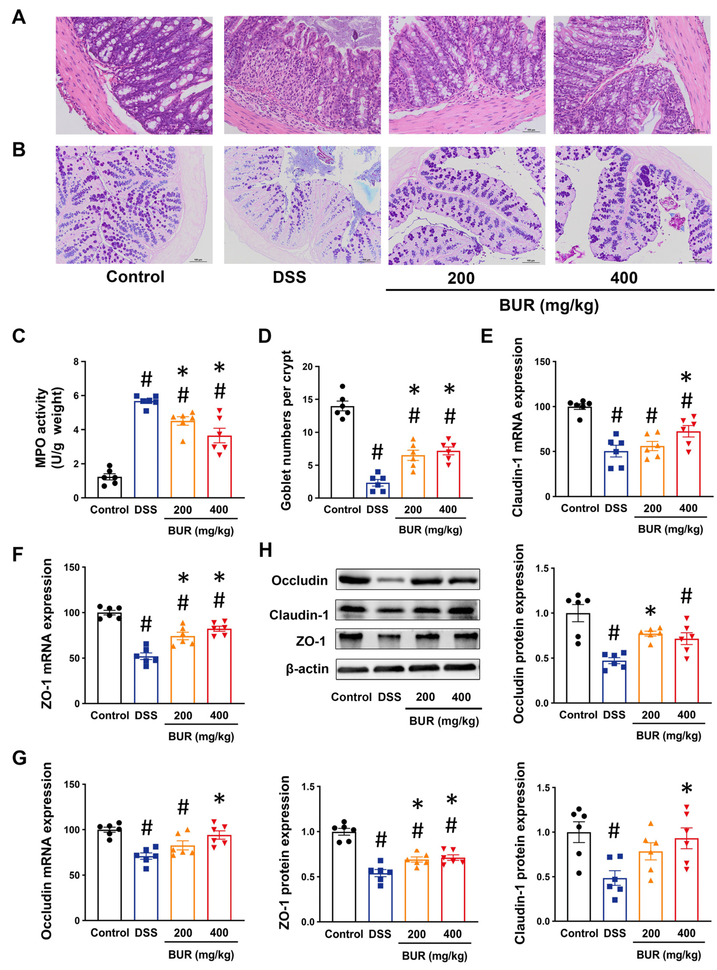 Antioxidants 11 01994 g002