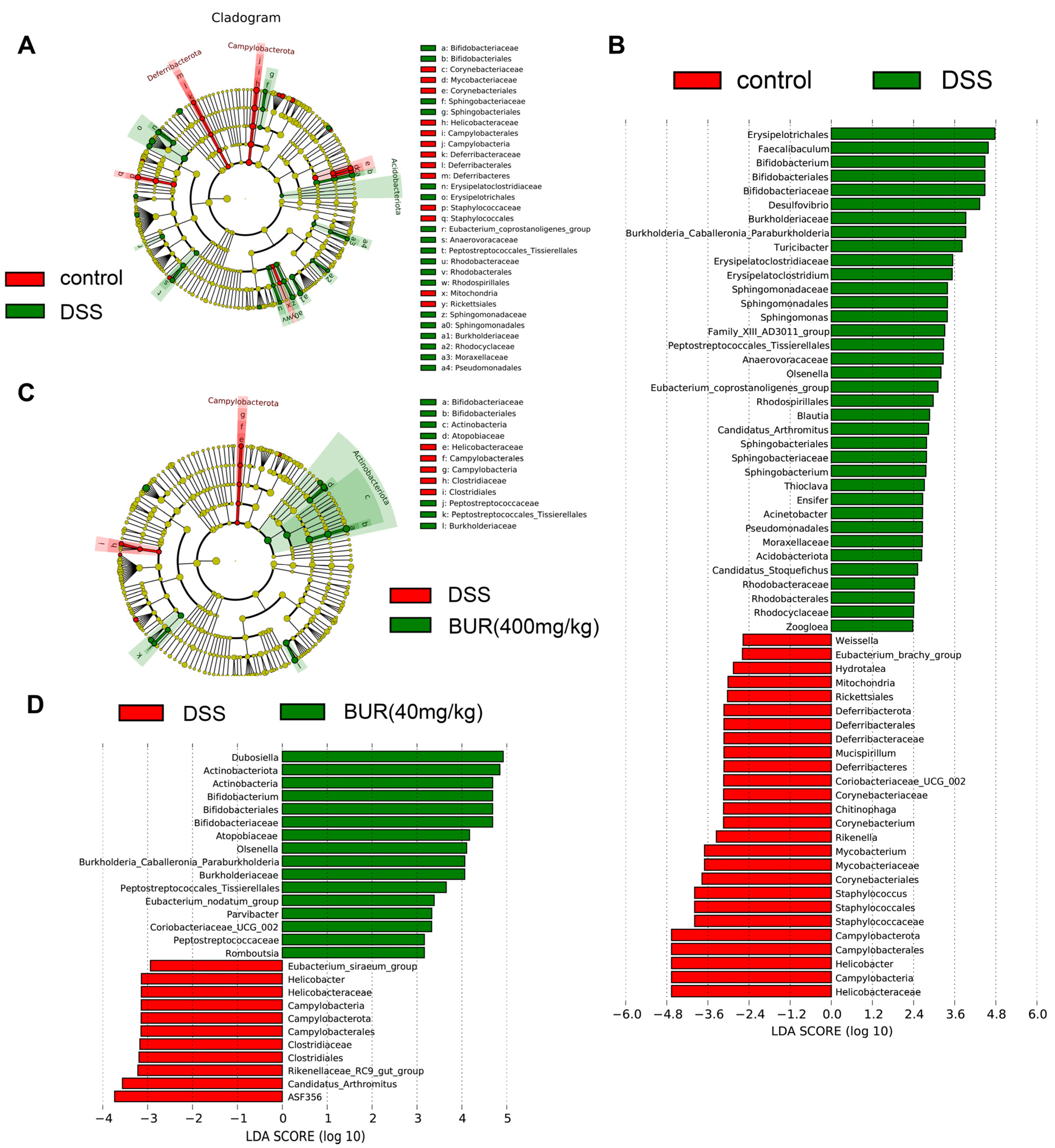Antioxidants 11 01994 g006