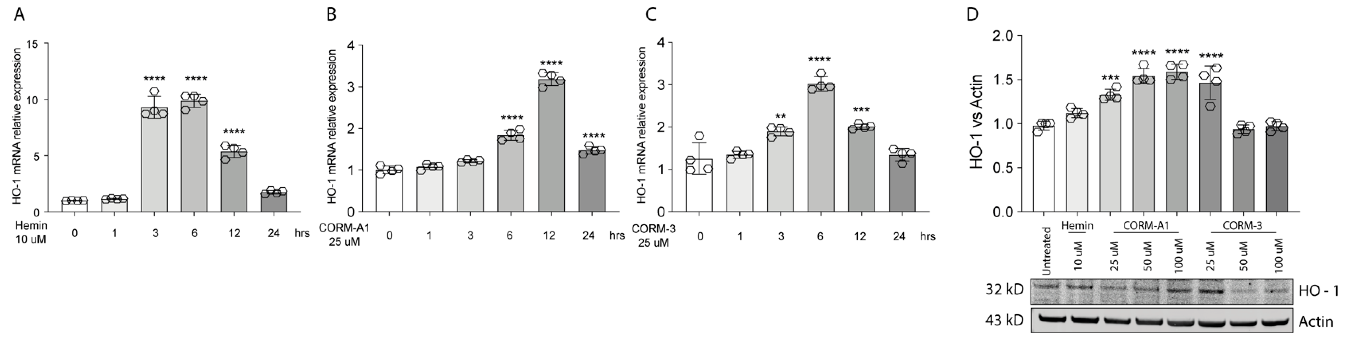 Antioxidants 11 01997 g001