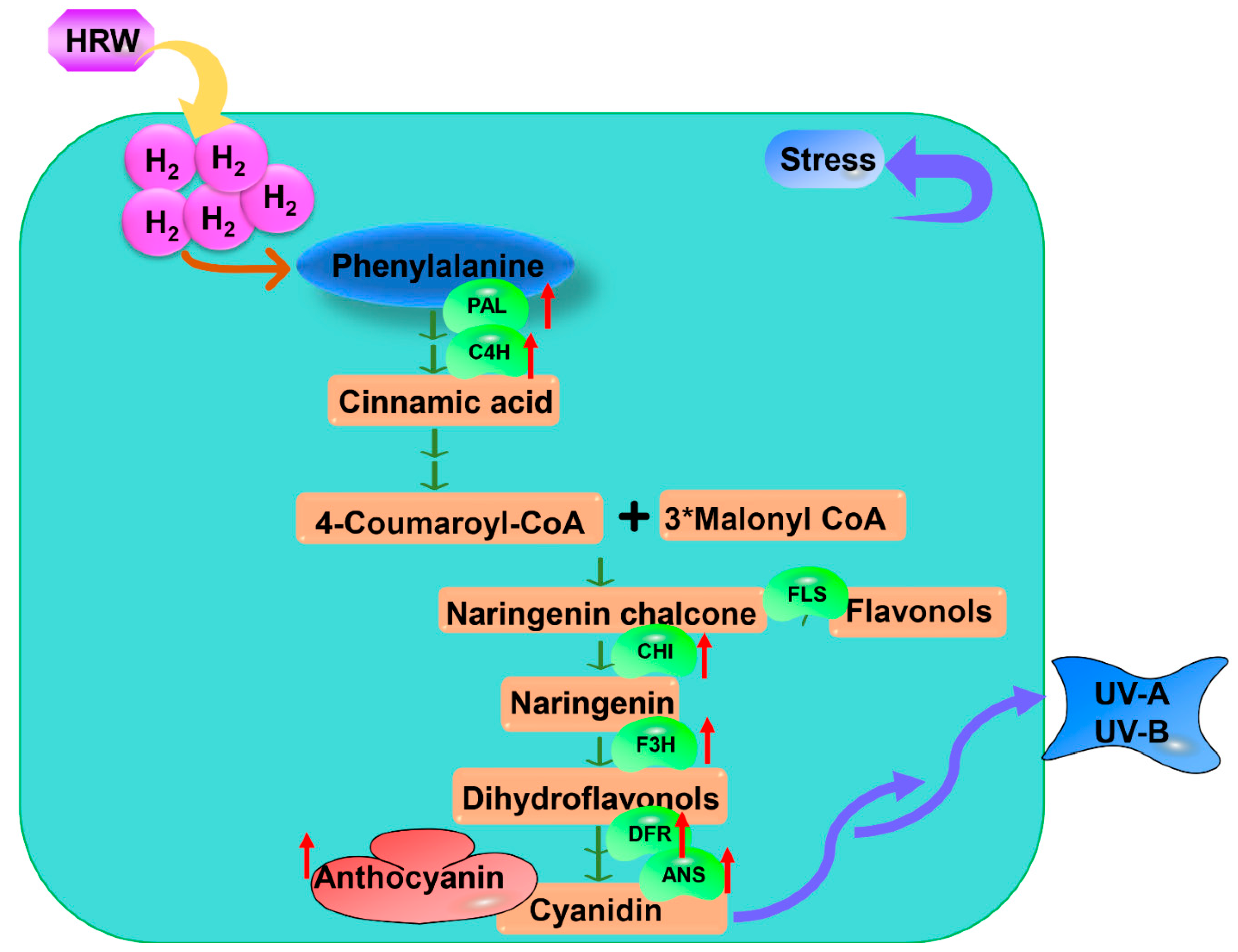 Antioxidants 11 01999 g003