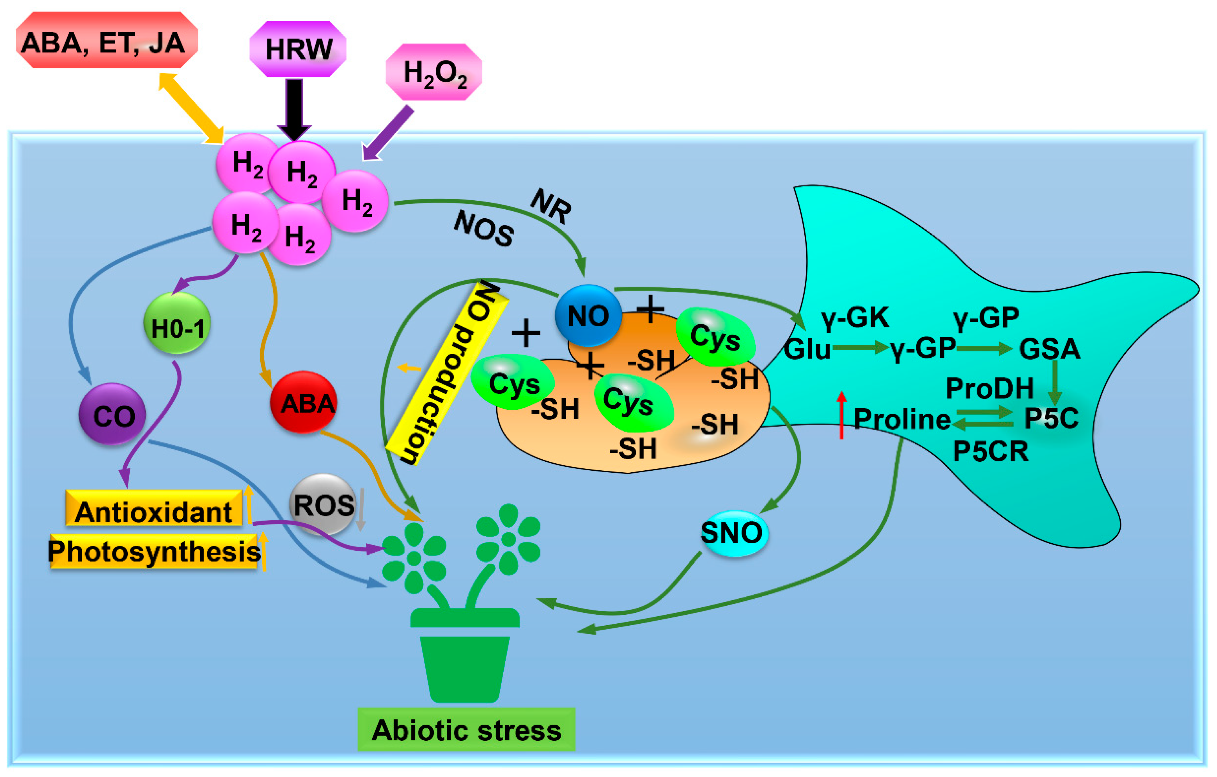 Antioxidants 11 01999 g004