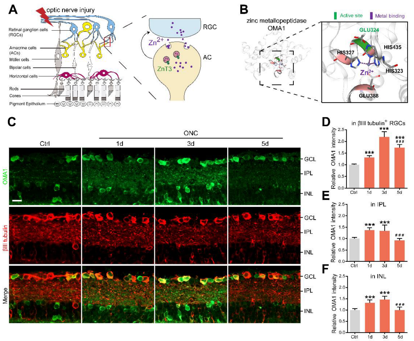 Antioxidants 11 02001 g001