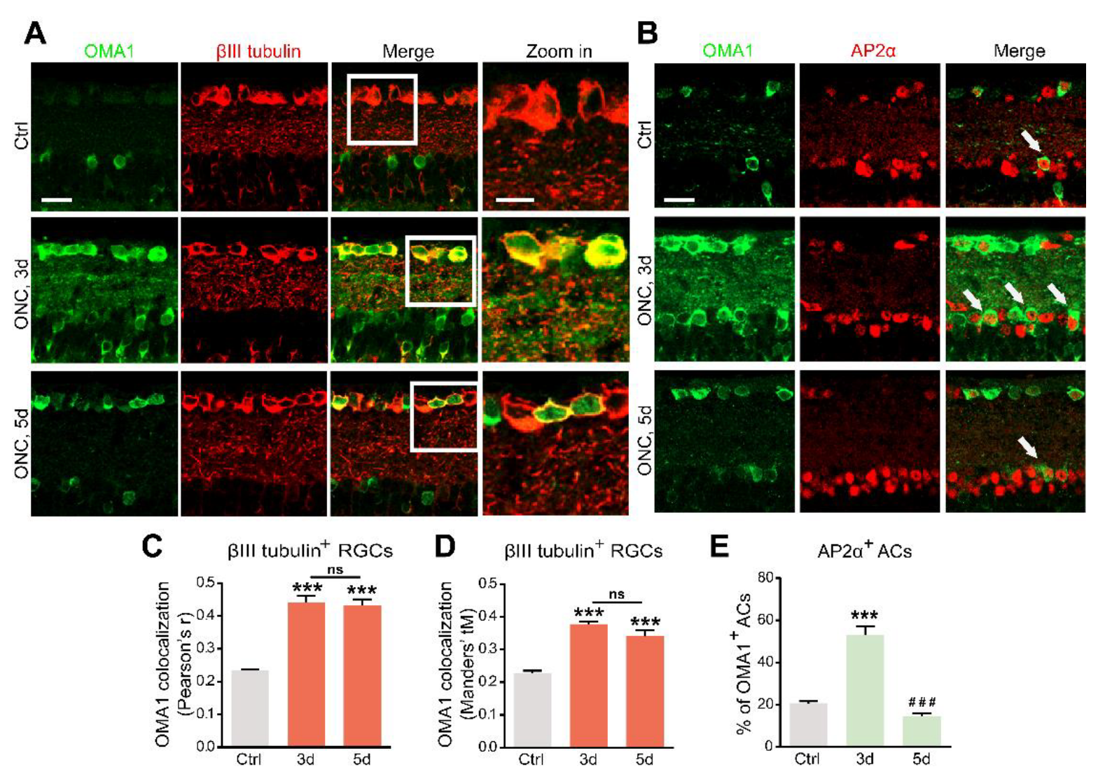 Antioxidants 11 02001 g002