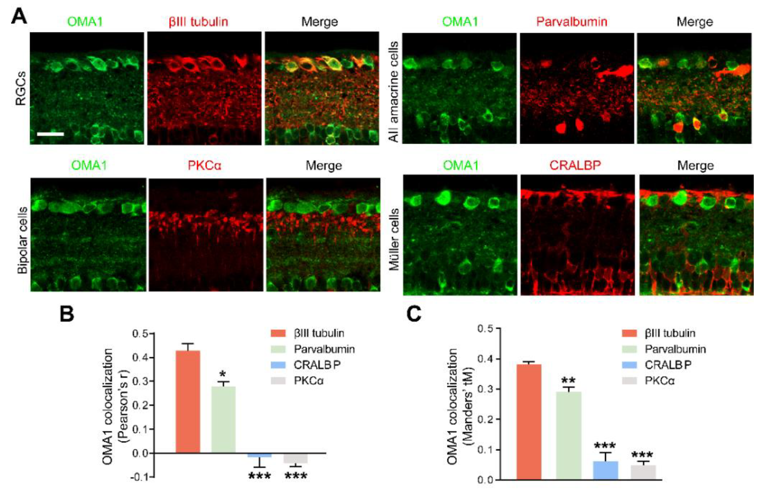 Antioxidants 11 02001 g003