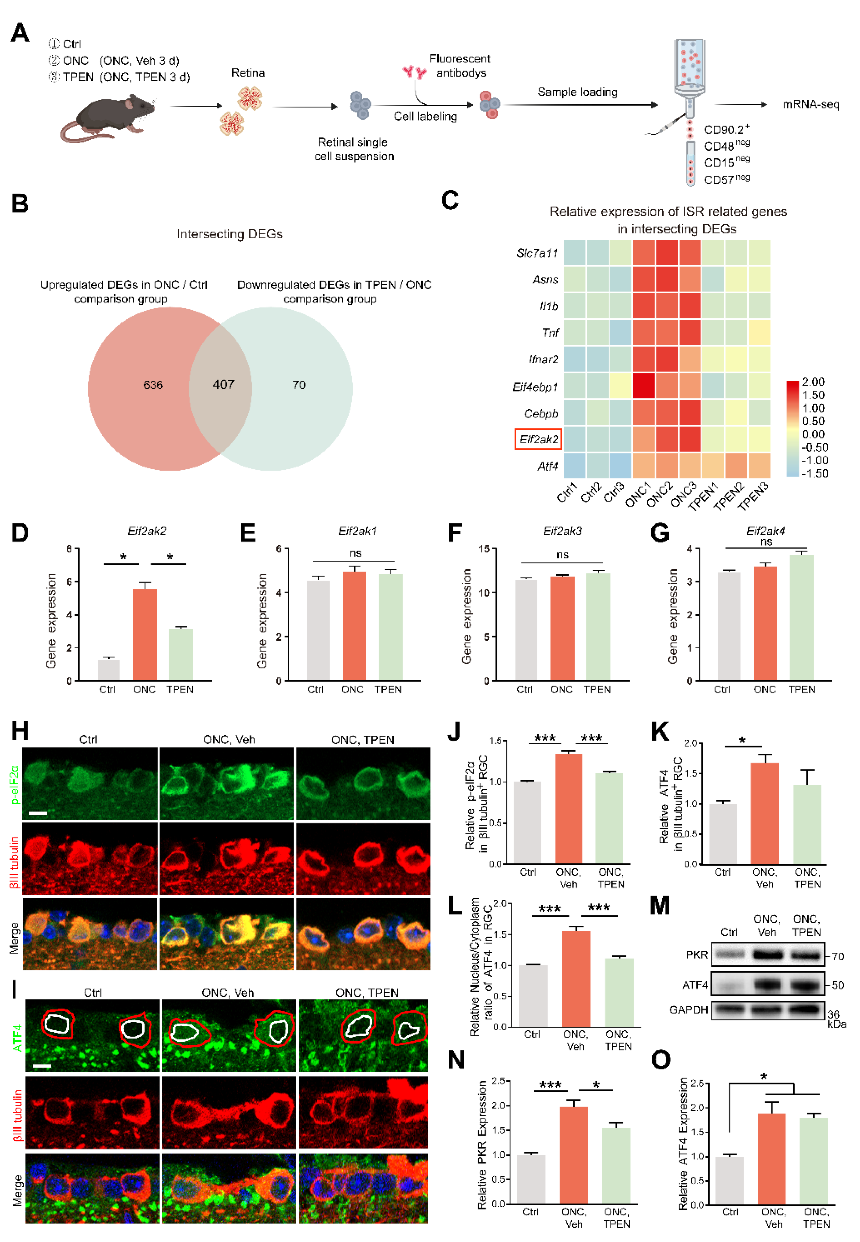 Antioxidants 11 02001 g007
